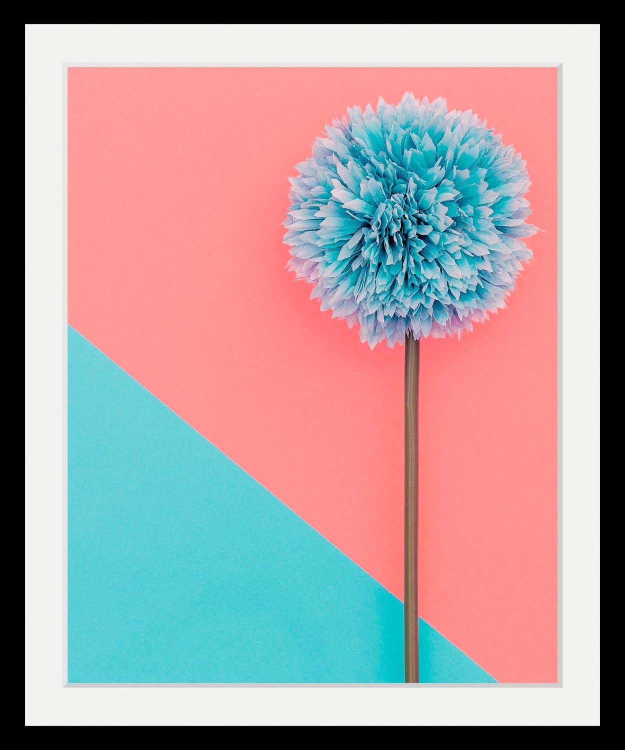 queence Bild »Pusteblume«, Blumen-Blumenbilder-Pflanzen-Kunst, HD Premium P günstig online kaufen