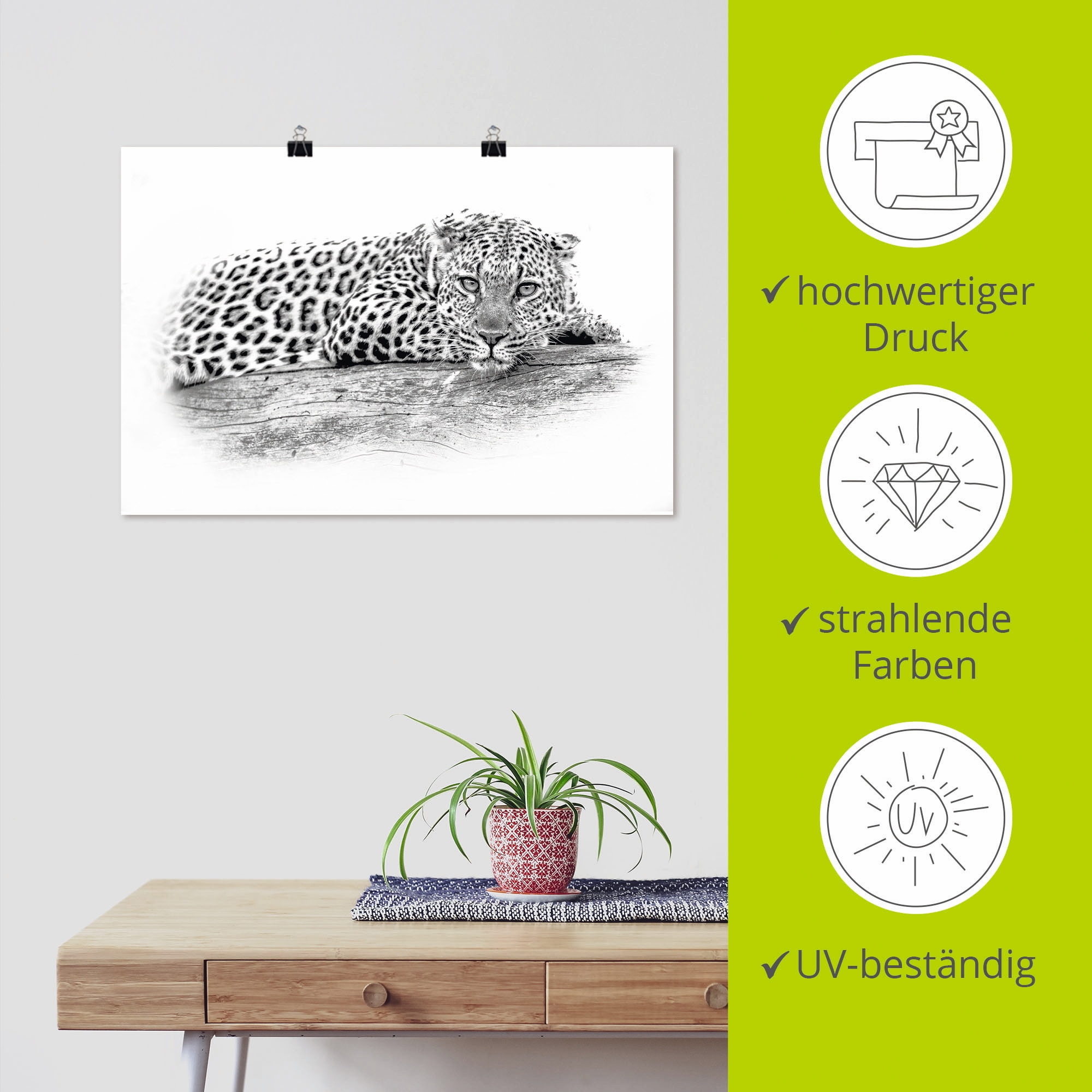Artland Wandbild »Leopard High Key Optik«, Wildtiere, (1 St.), als Alubild, Leinwandbild, Wandaufkleber oder Poster in versch. Größen
