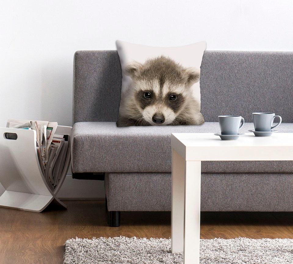 queence Dekokissen »Dean«, Kissenhülle,Waschbär,Lustig,Tiere,Niedlich,Freun günstig online kaufen