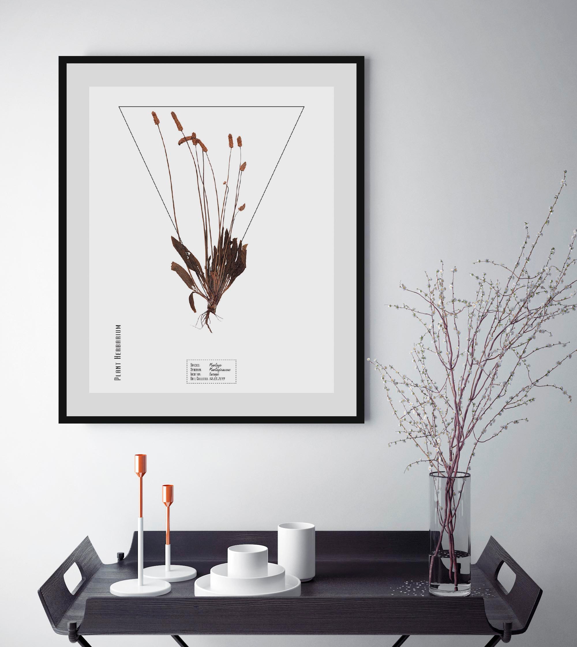 Bild QUEENCE "Plantaginaceae", braun (farbe rahmen: schwarz, farbe bild(er): braun), B:40cm H:50cm