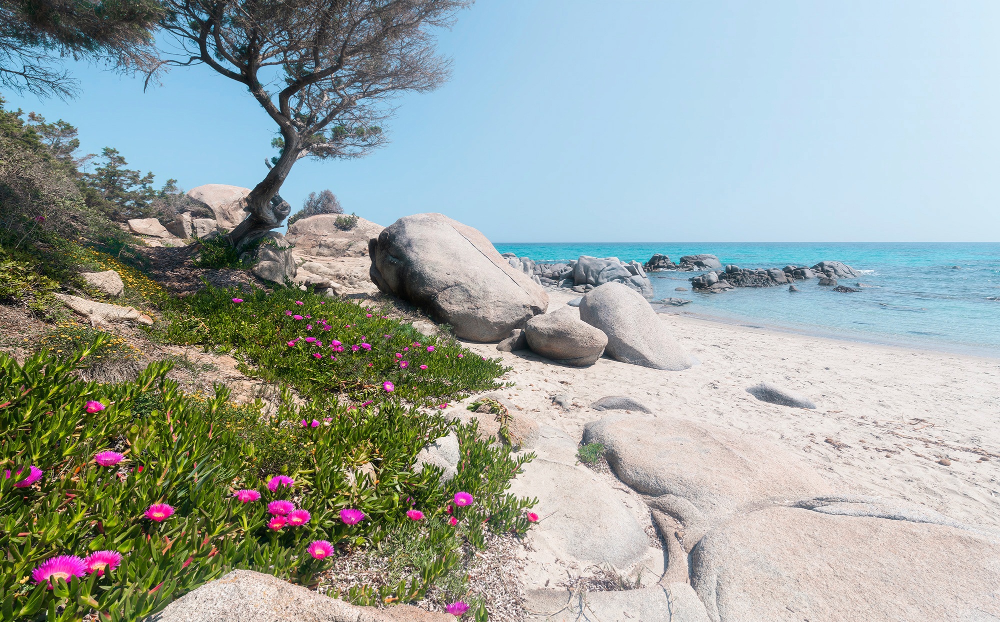 Sanders & Sanders Fototapete Strand Grün Grau und Blau 450 x 280 cm 612642 günstig online kaufen