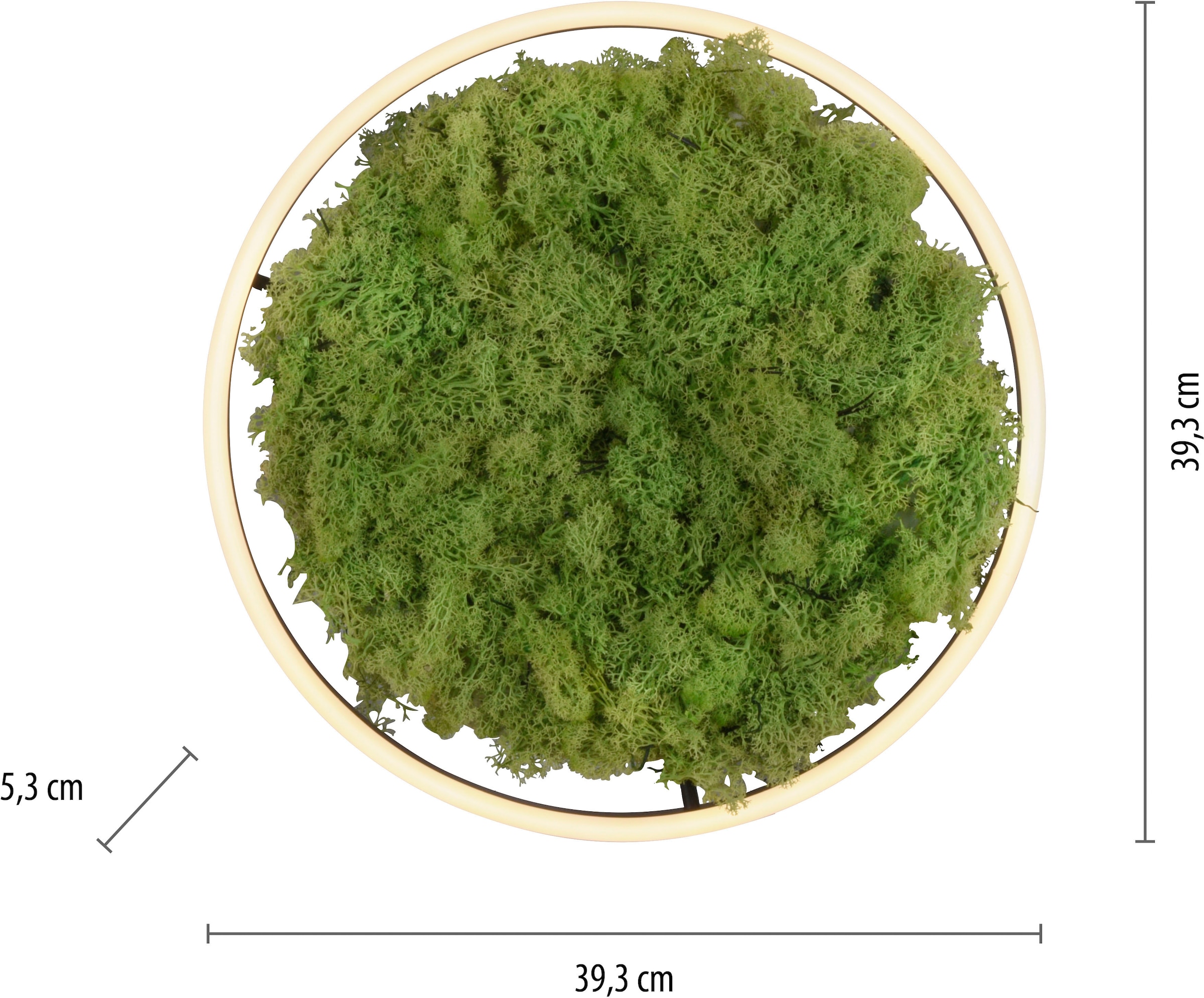 JUST LIGHT Deckenleuchte »GREEN RITU«, 1 flammig, Leuchtmittel LED-Board | LED fest integriert