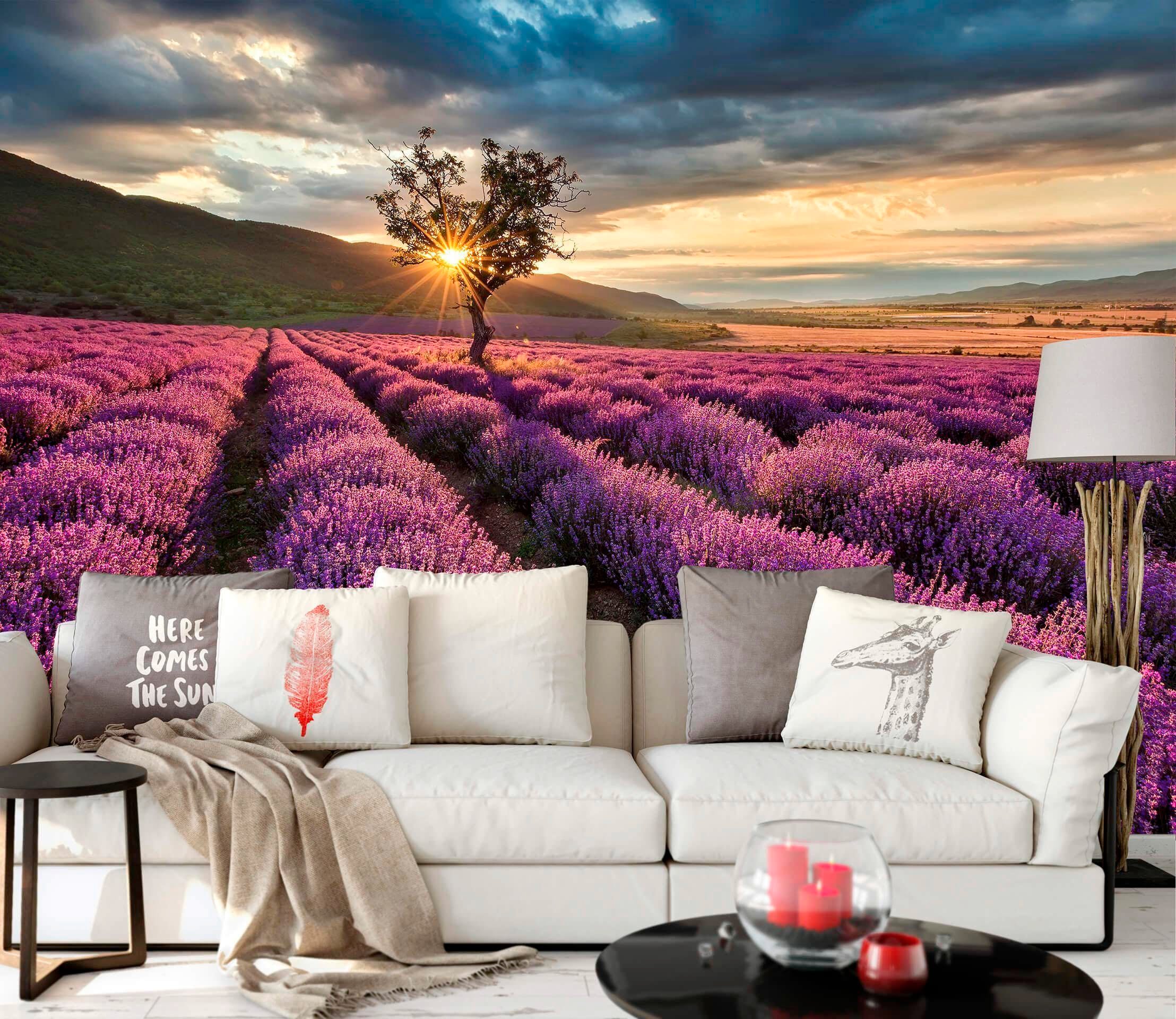living walls Fototapete »Lavendelfeld Lavendelblüte«, Motiv-abstrakt-naturalistisch, Vlies, Wand, Schräge Tapeten Wohnzimmer Schlafzimmer Küche modern Büro