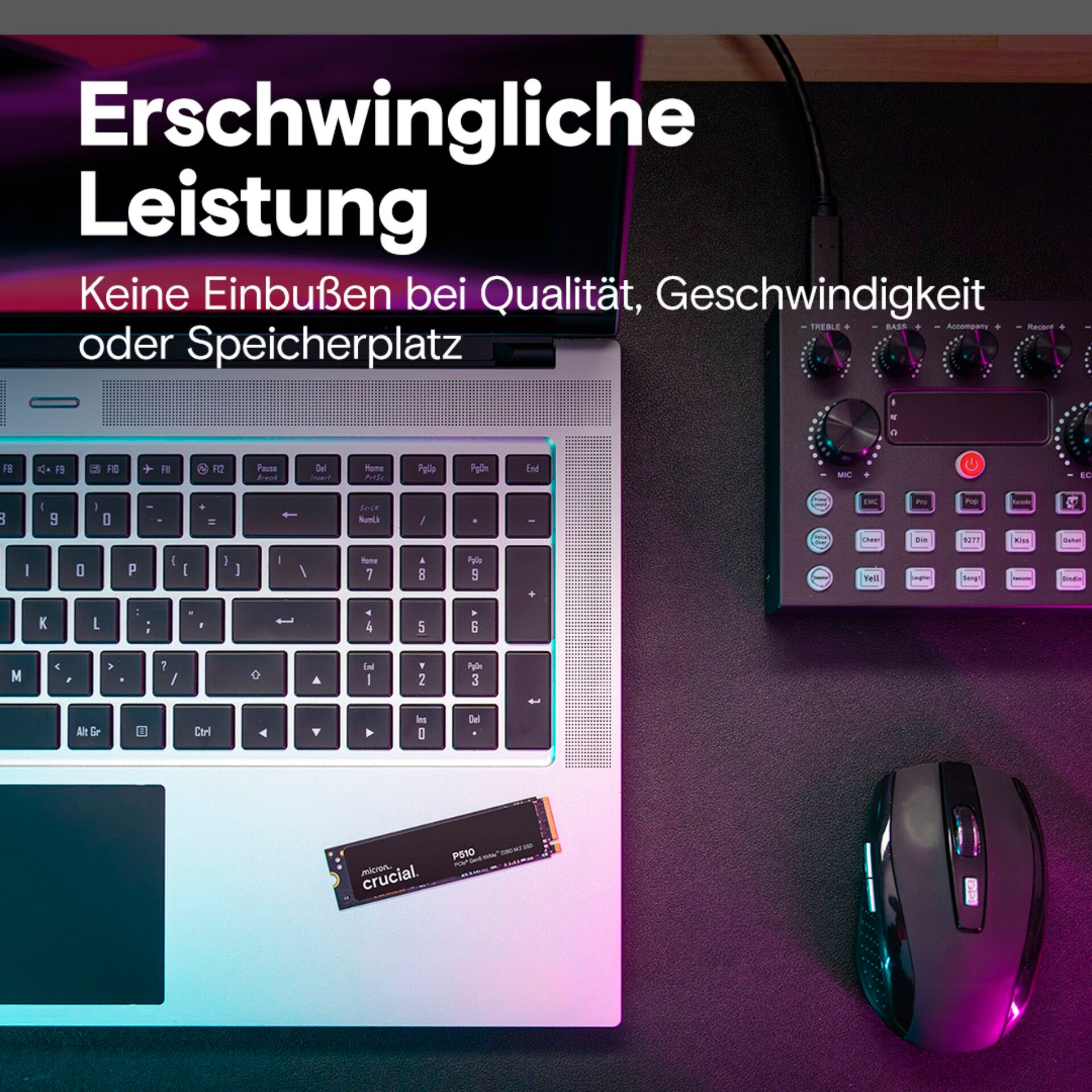 Crucial SSD-Festplatte »P510 Gen5 2280 2TB« 2000 GB Anschluss M.2 (2880)