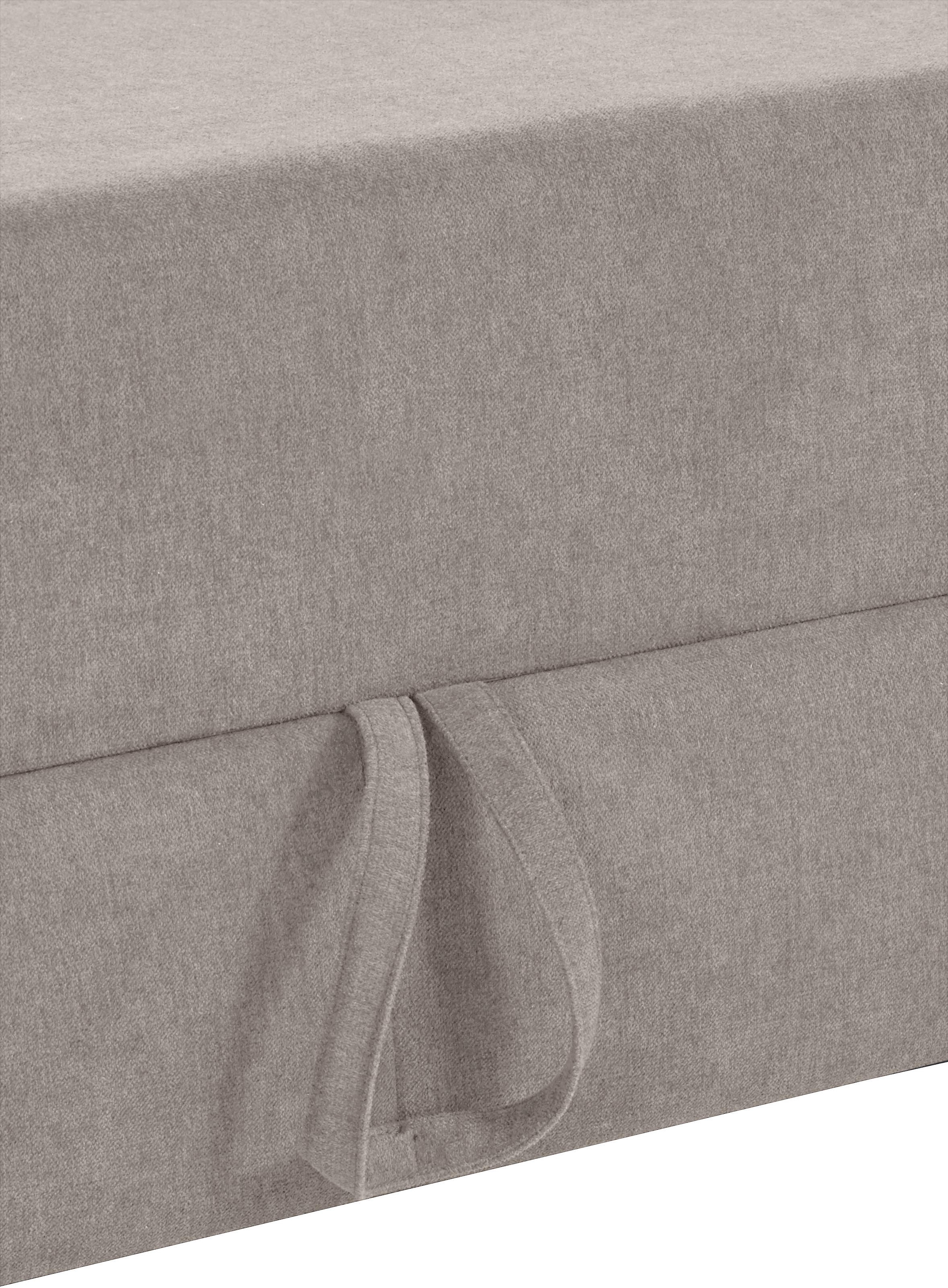 sit&more Ecksofa »Darwin L-Form«, inklusive Federkern, wahlweise mit Kopfteilverstellung, Bettfunktion