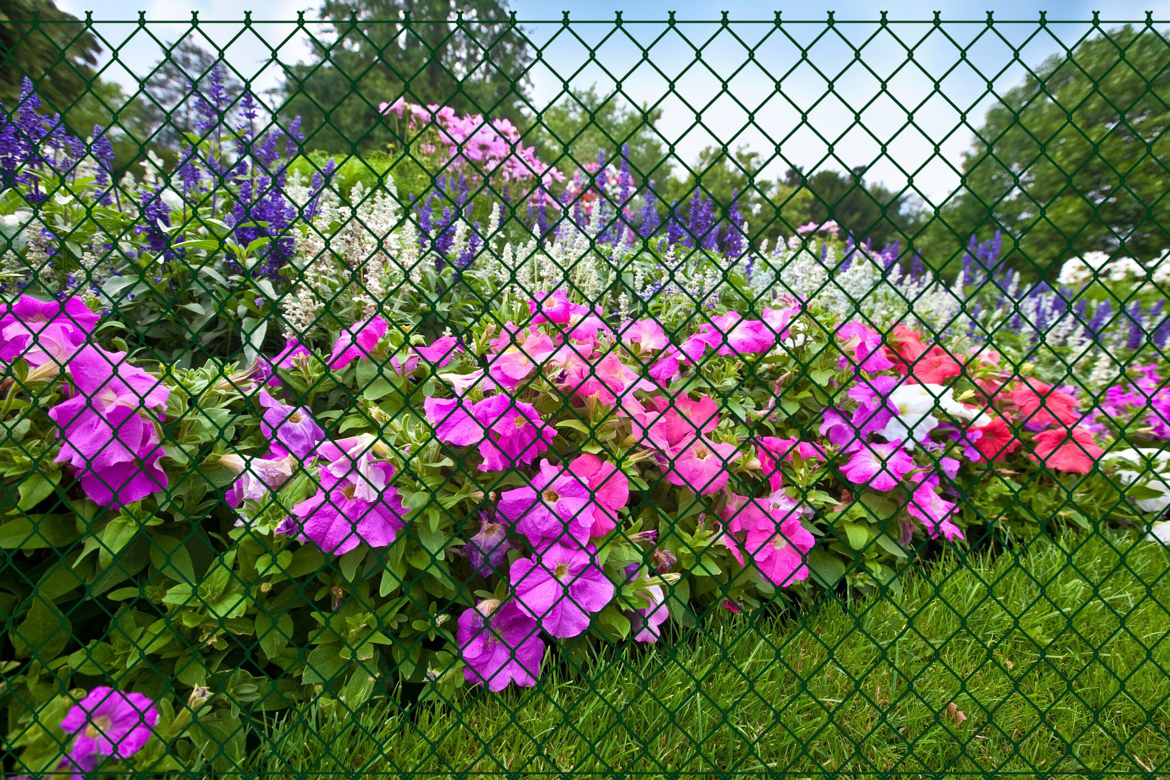 GARDEN 'N' MORE Maschendrahtzaun 1 Element für 15 m, LxH: 1500 x 125 cm, mit 7 Pfosten