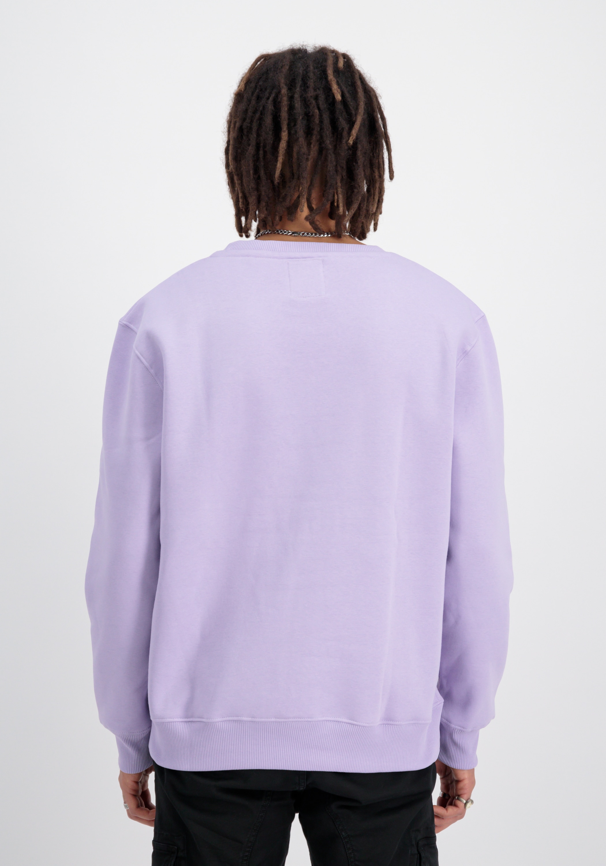 Alpha Industries Sweater »Alpha Industries Men - Sweatshirts Rainbow Refl. Label Sweater«