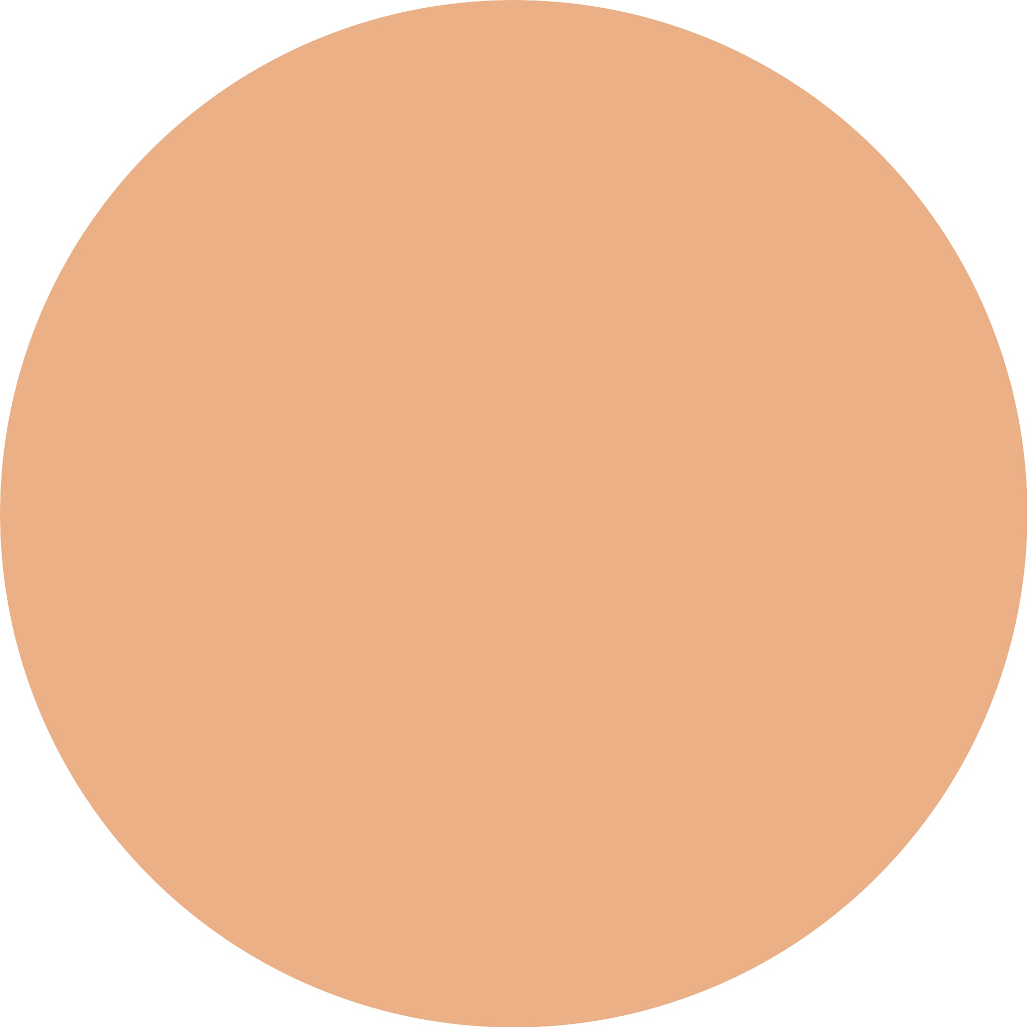 Essence Foundation »BRIGHTEN UP! cushion foundation«, Langanhaltend, wasserfest, mittlere Deckkraft