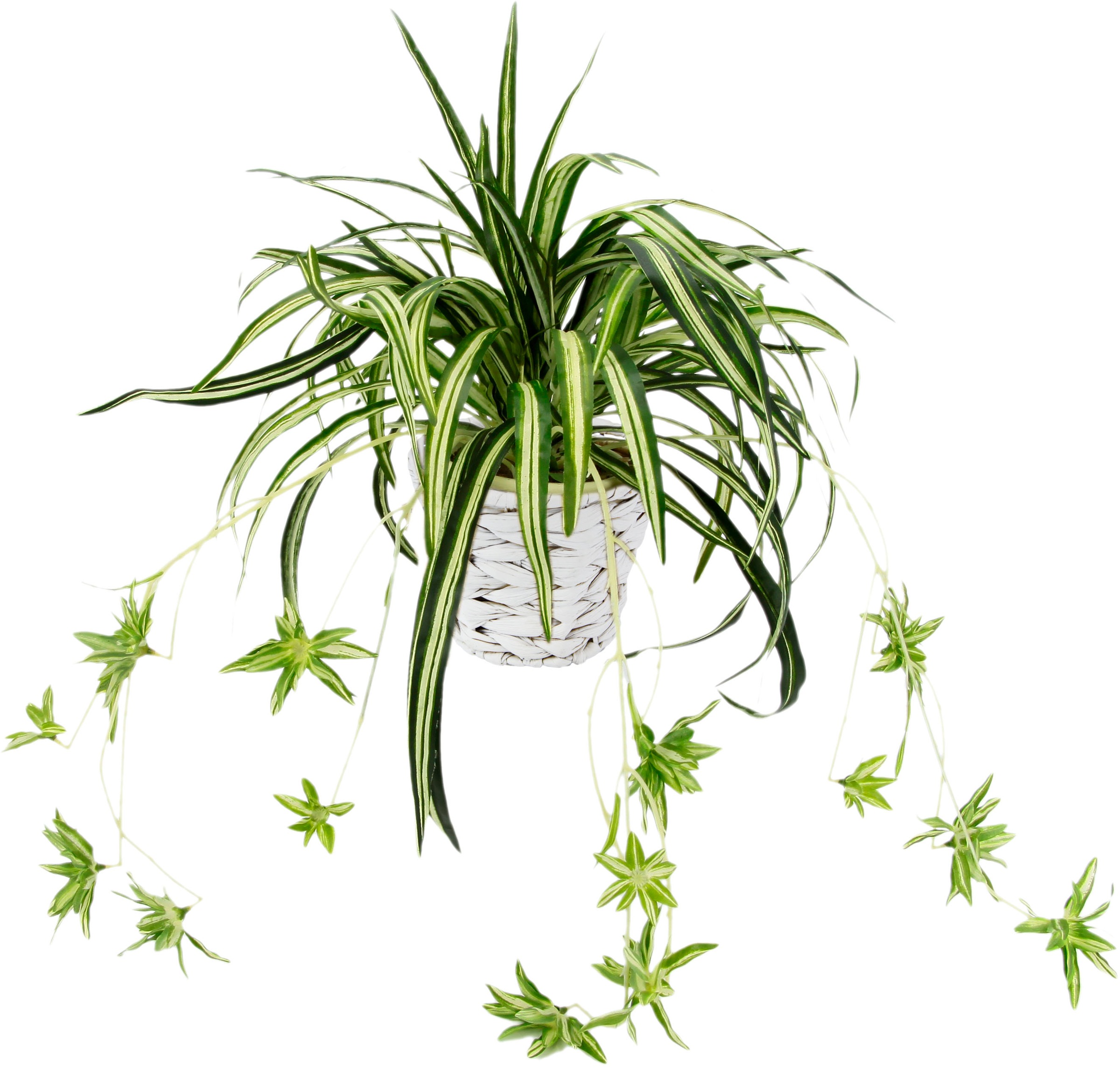 Kunstpflanze bestellen im I.GE.A. online Übertopf »Wasserlilie«,
