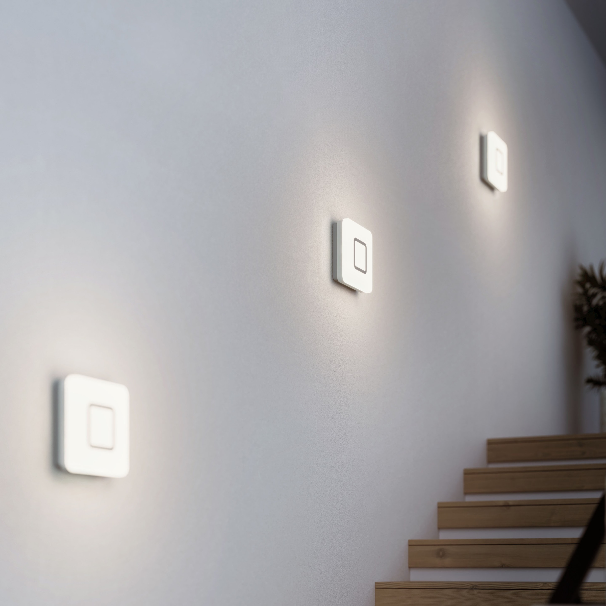 steinel LED Wandleuchte auf Rechnung Bewegungsmelder, 360Â° bestellen »RS«, Warmweiß,Innenleuchte,Edelstahl