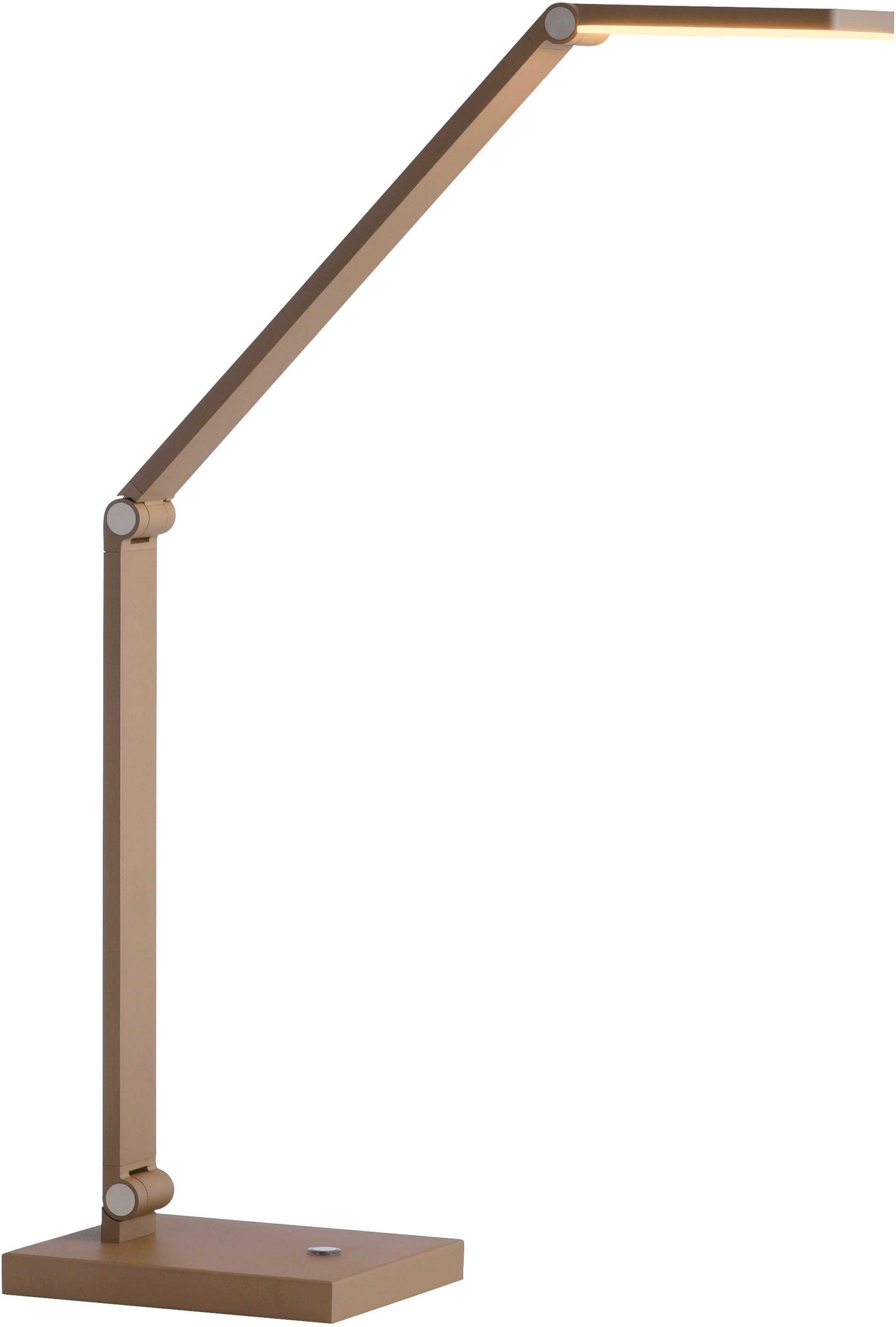 Paul Neuhaus LED Tischleuchte »SAMSKY« LED-Board 1 Stk. warmweiß - kaltweiß günstig online kaufen