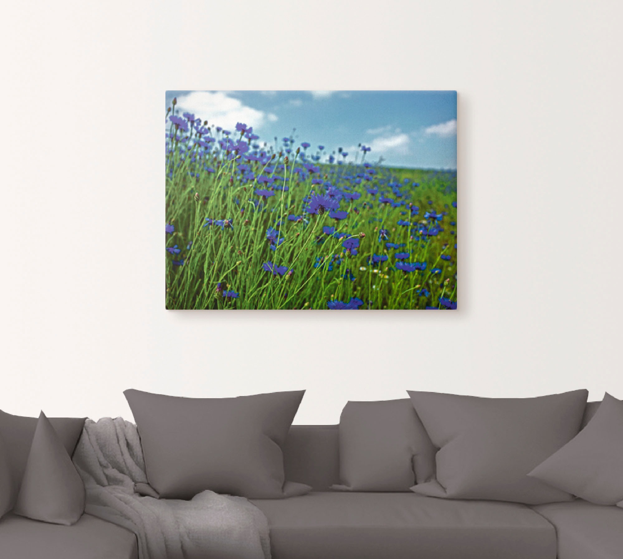 Artland Wandbild »Kornblumenwiese«, Blumenwiese, (1 St.), als Leinwandbild, günstig online kaufen