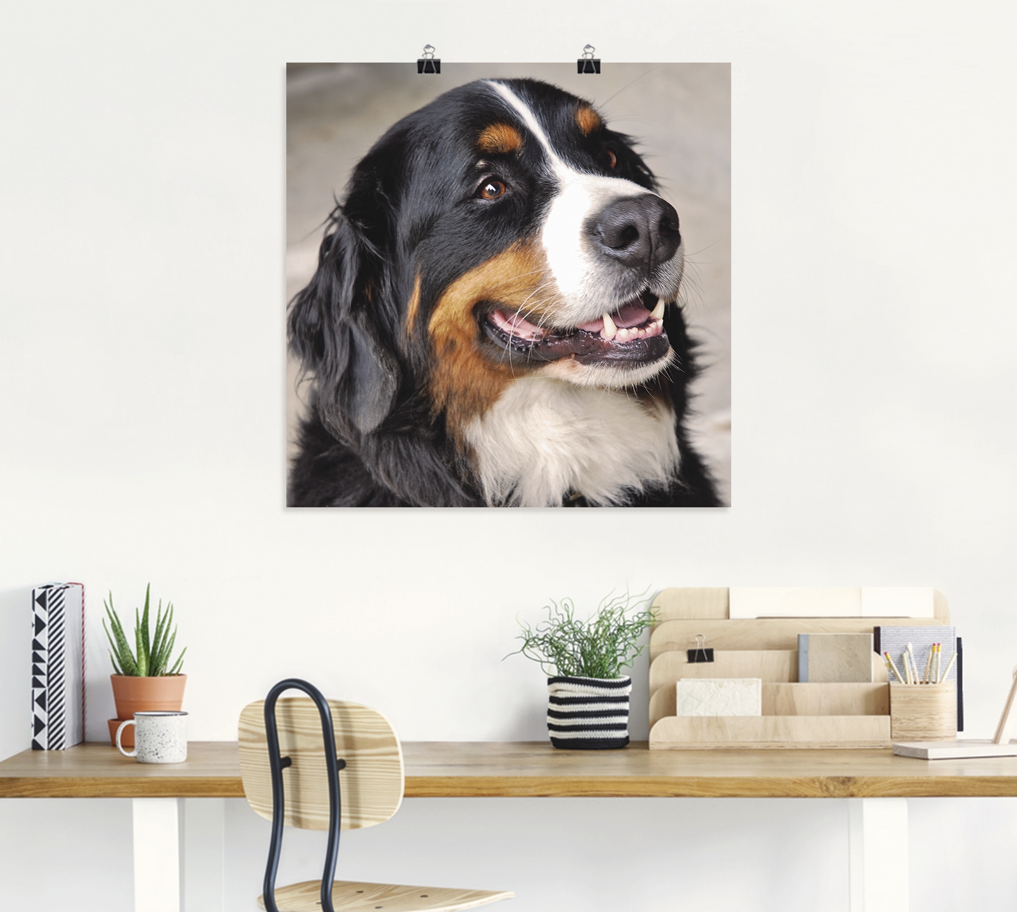 Artland Wandbild »Berner Sennenhund«, Haustiere, (1 St.), als Poster, Wandaufkleber in verschied. Größen
