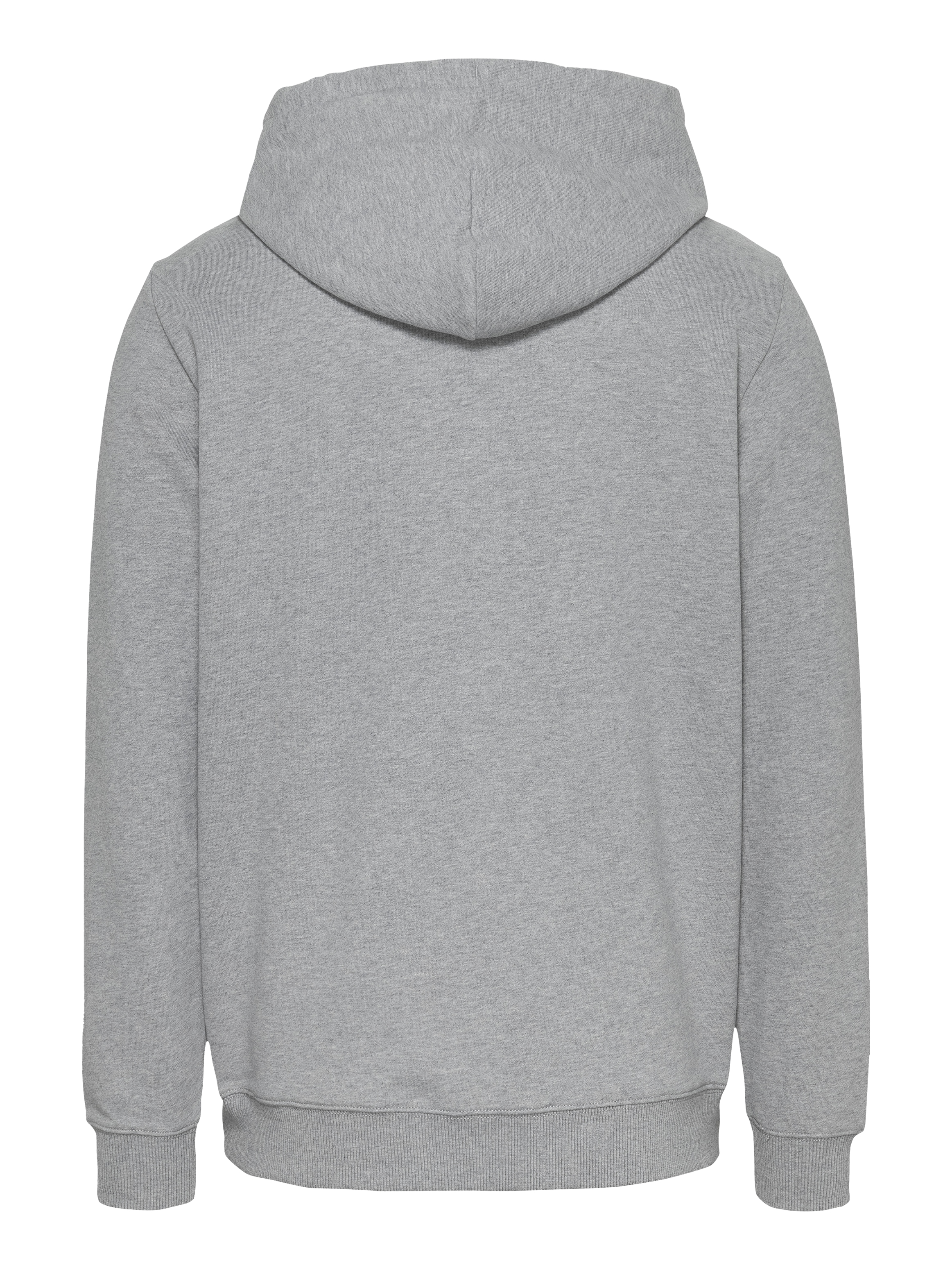 Tommy Jeans Plus Hoodie »TJM REG ENTRY GRAPHIC HOODIE EXT«, in Großen Größen, Logodruck, Kängurutasche