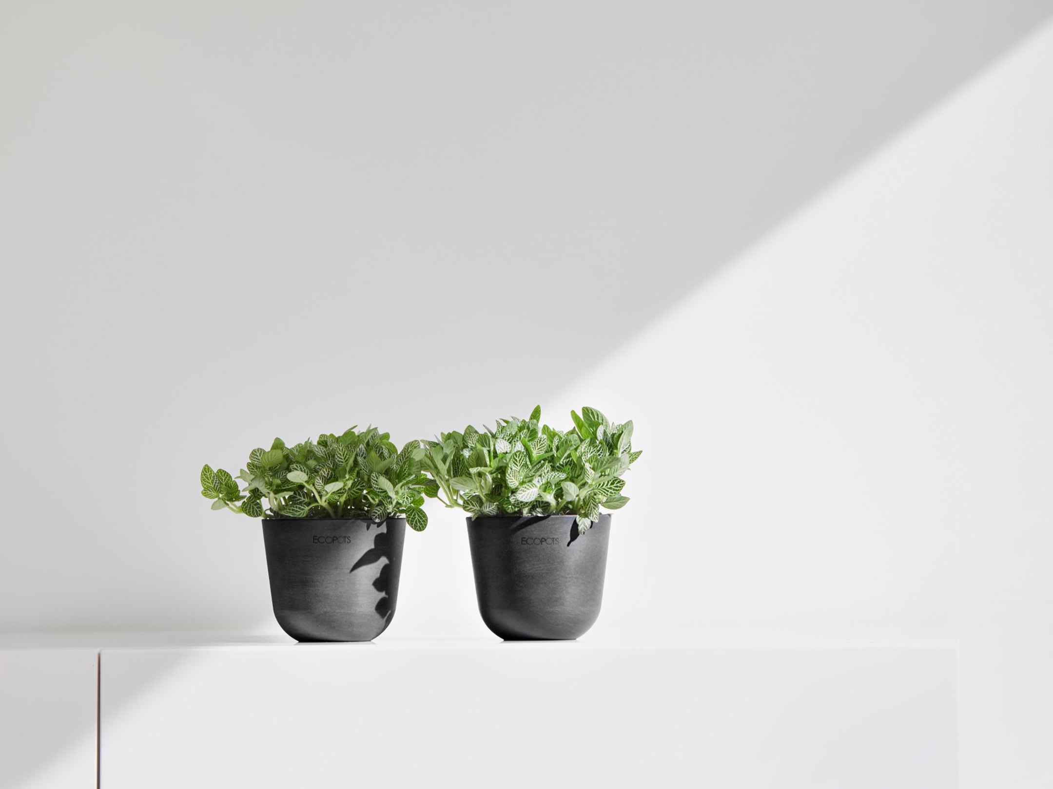 ECOPOTS Blumentopf »Oslo Mini 11,5 Dunkelgrau«, für den Innenbereich