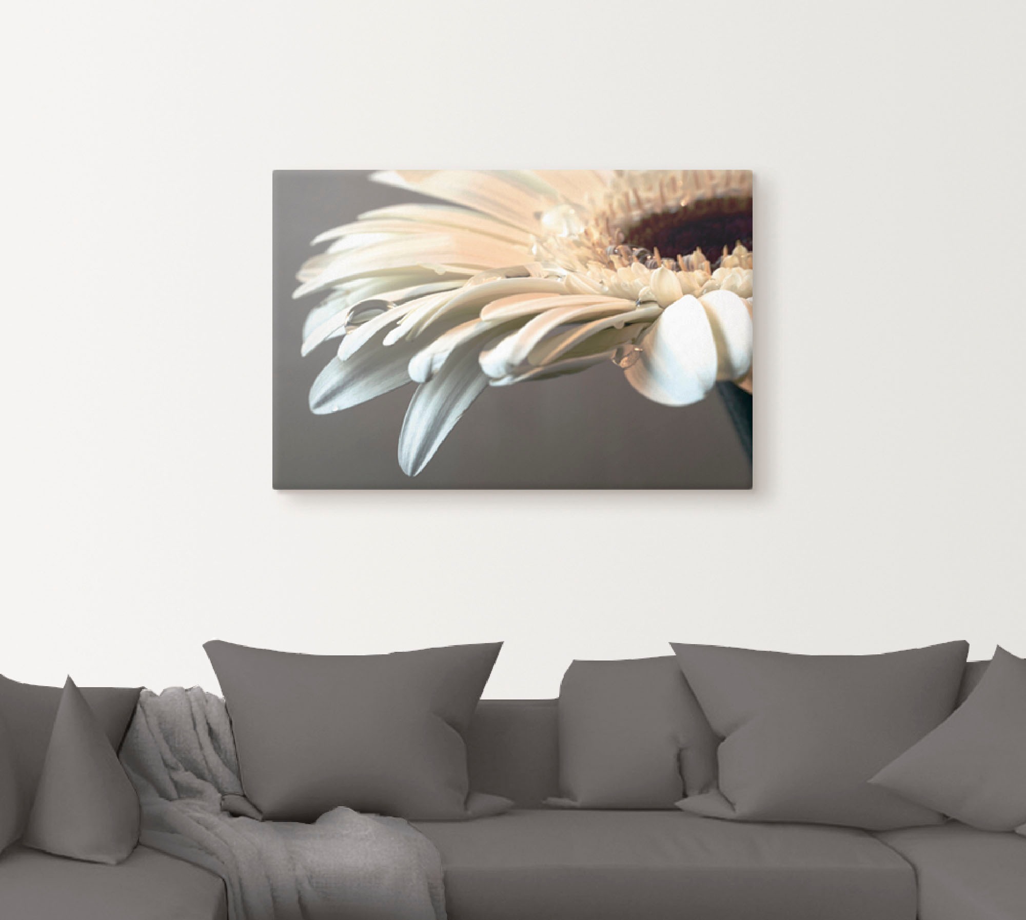 Artland Wandbild »Blüte einer Gerbera« 1 Stk. tlg. als Leinwandbild, Poster günstig online kaufen