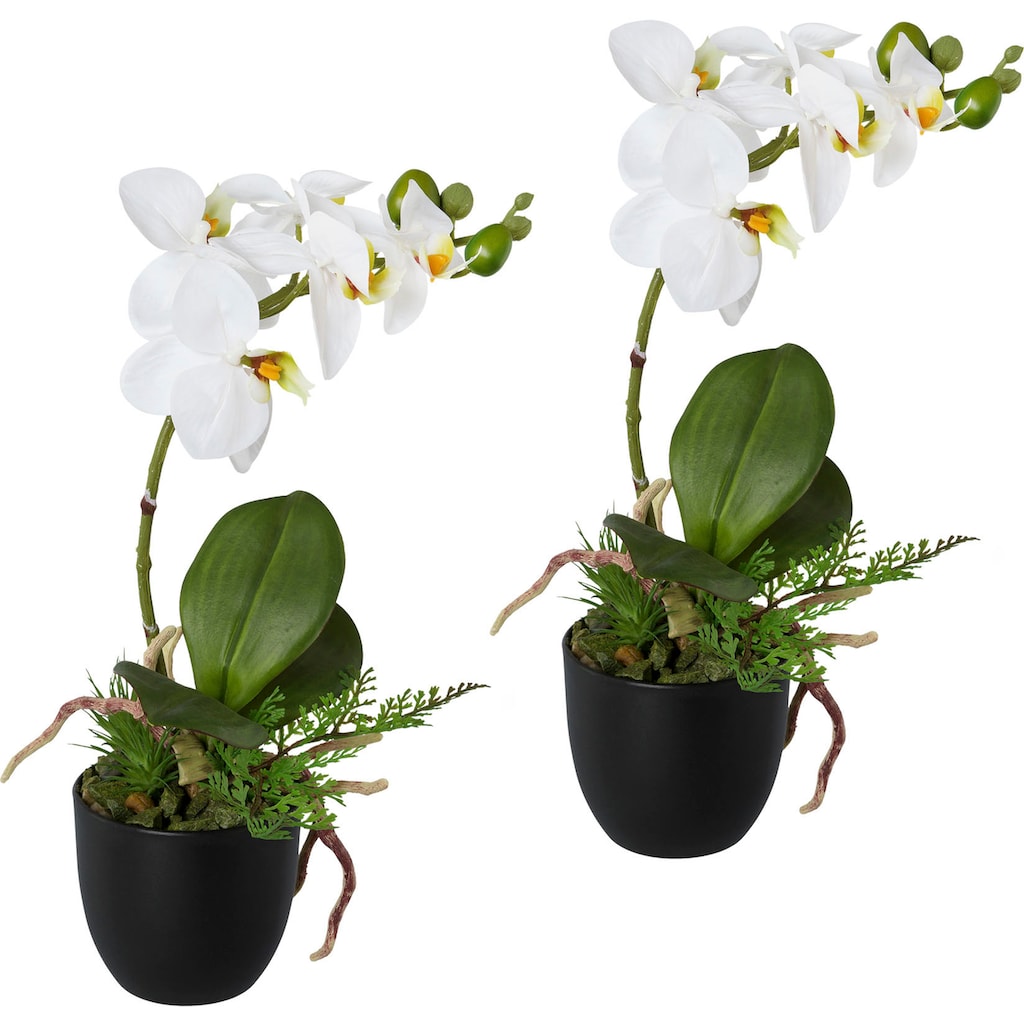 Creativ green Kunstorchidee »Phalaenopsis«