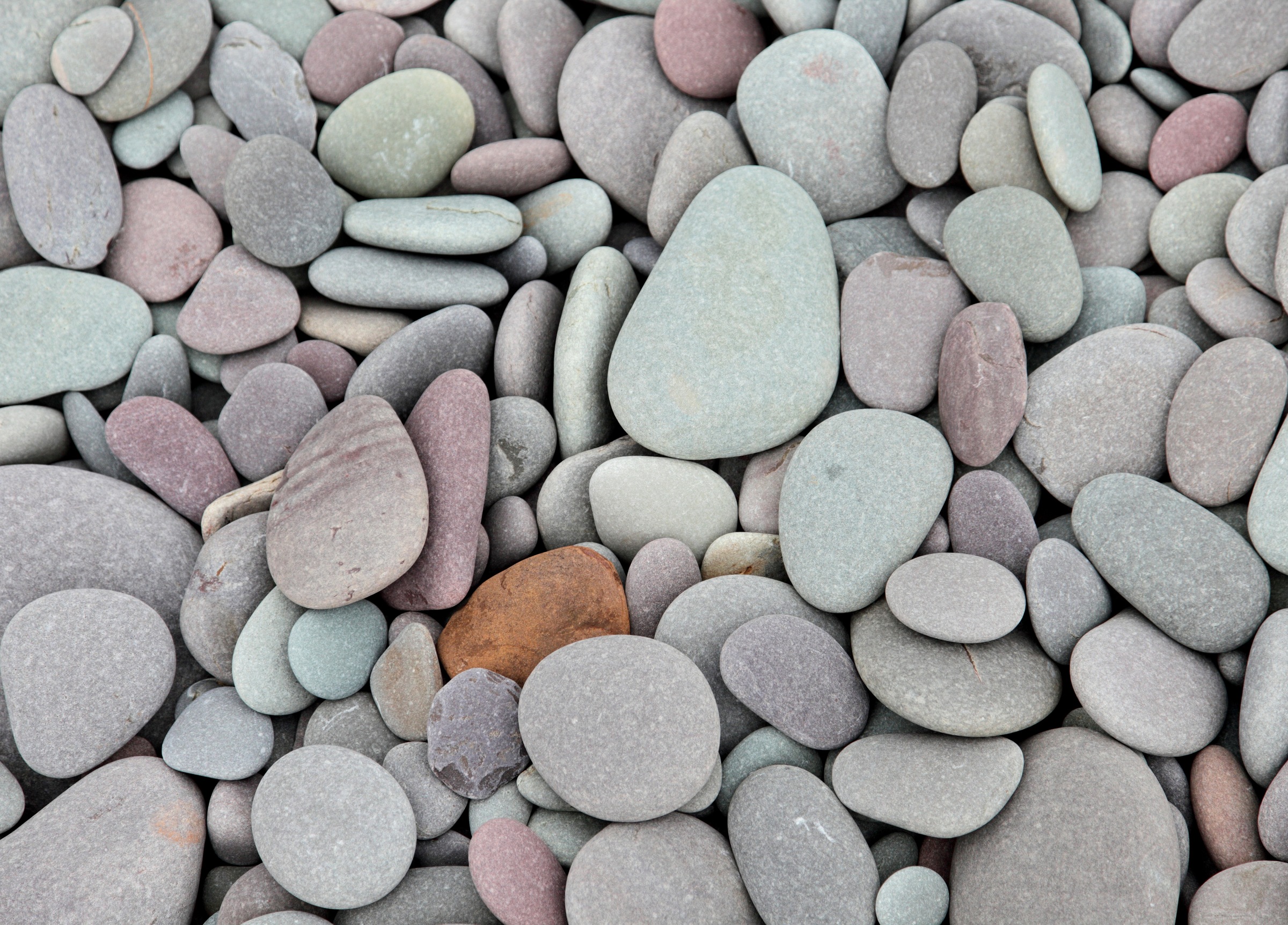 Papermoon Fototapete »Pebbles« glatt günstig online kaufen