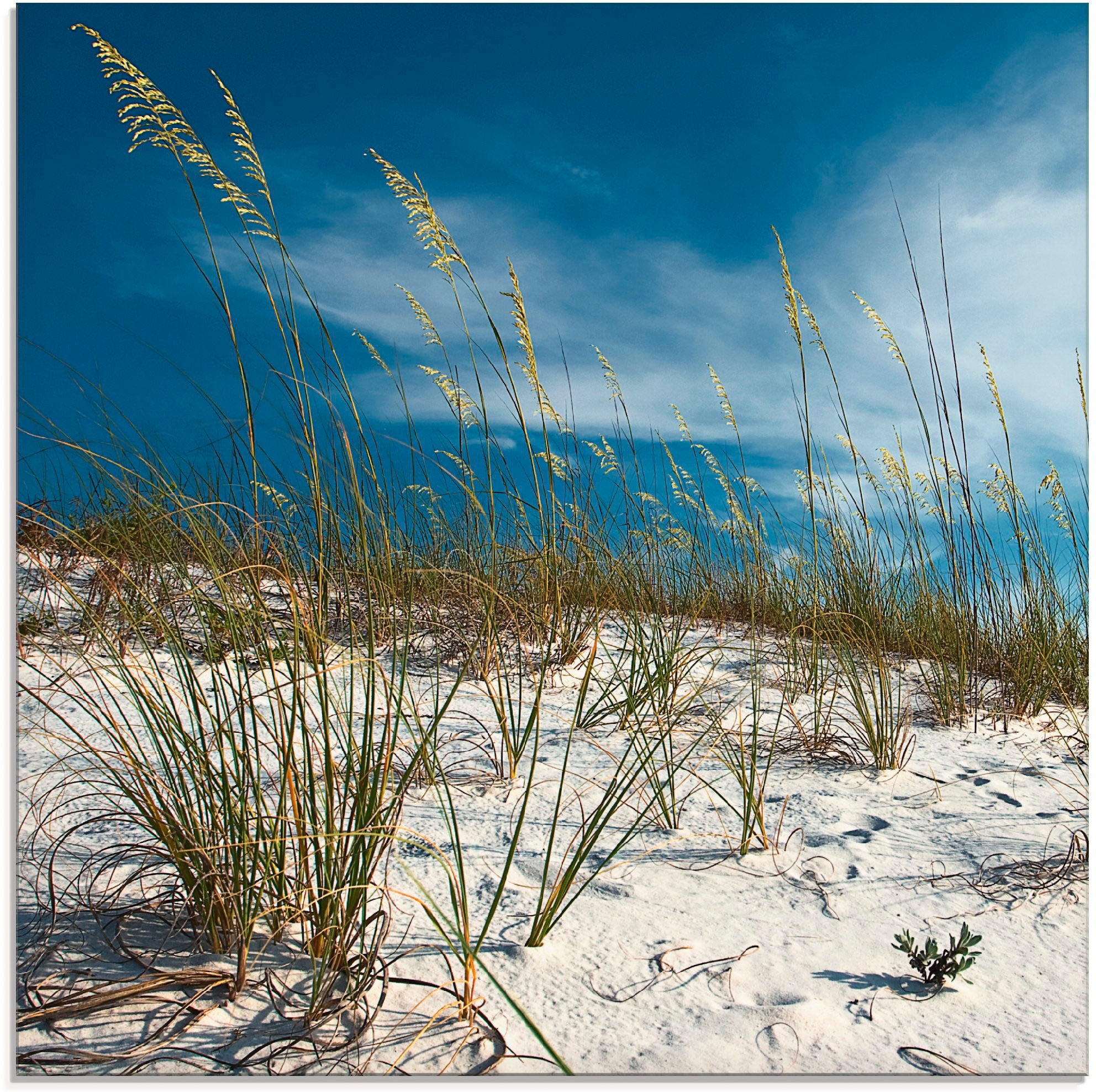 Artland Glasbild "Sanddüne und Gräser", Strand, (1 St.), in verschiedenen G günstig online kaufen