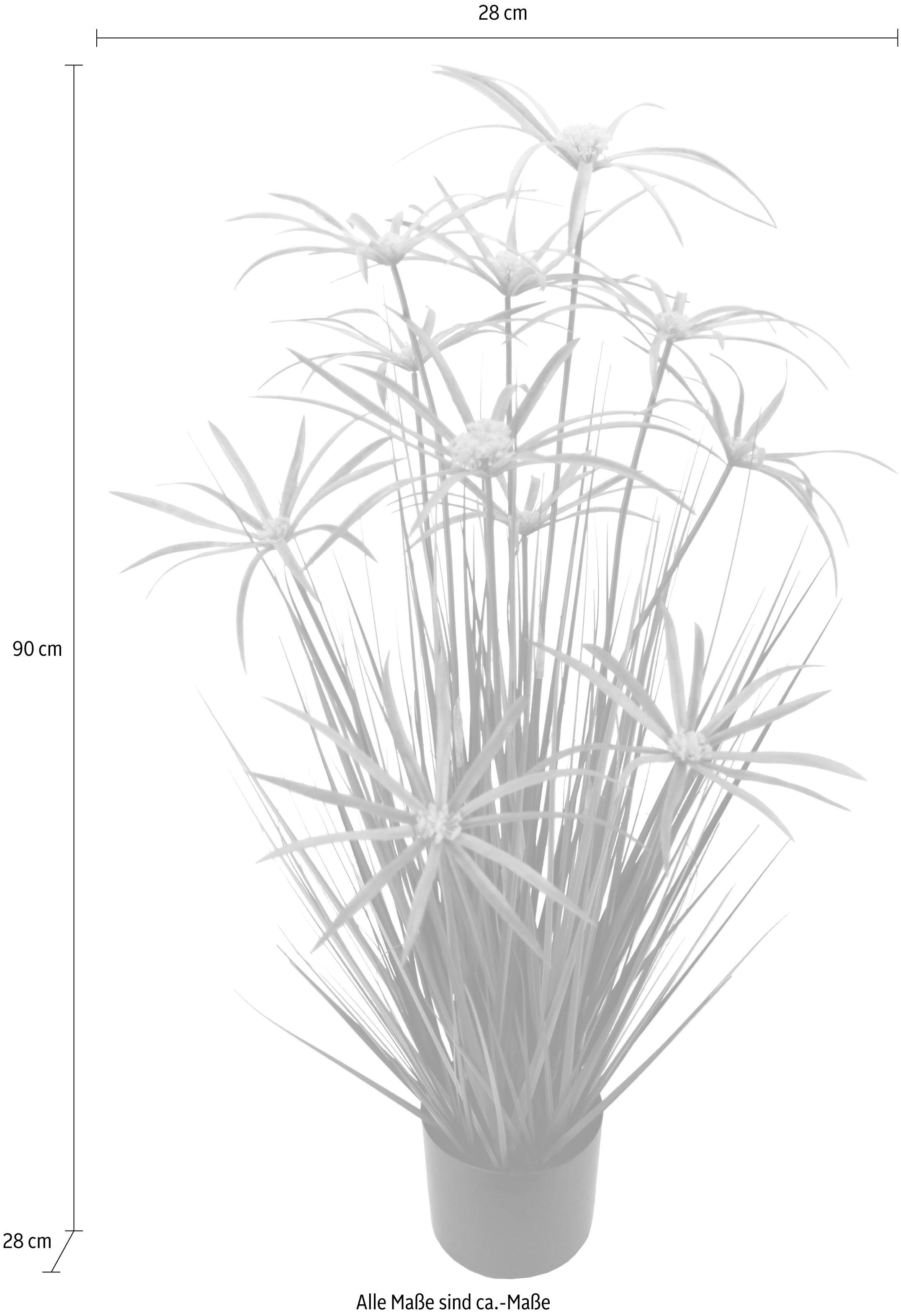 I.GE.A. Kunstpflanze »Zyperngras im Topf«