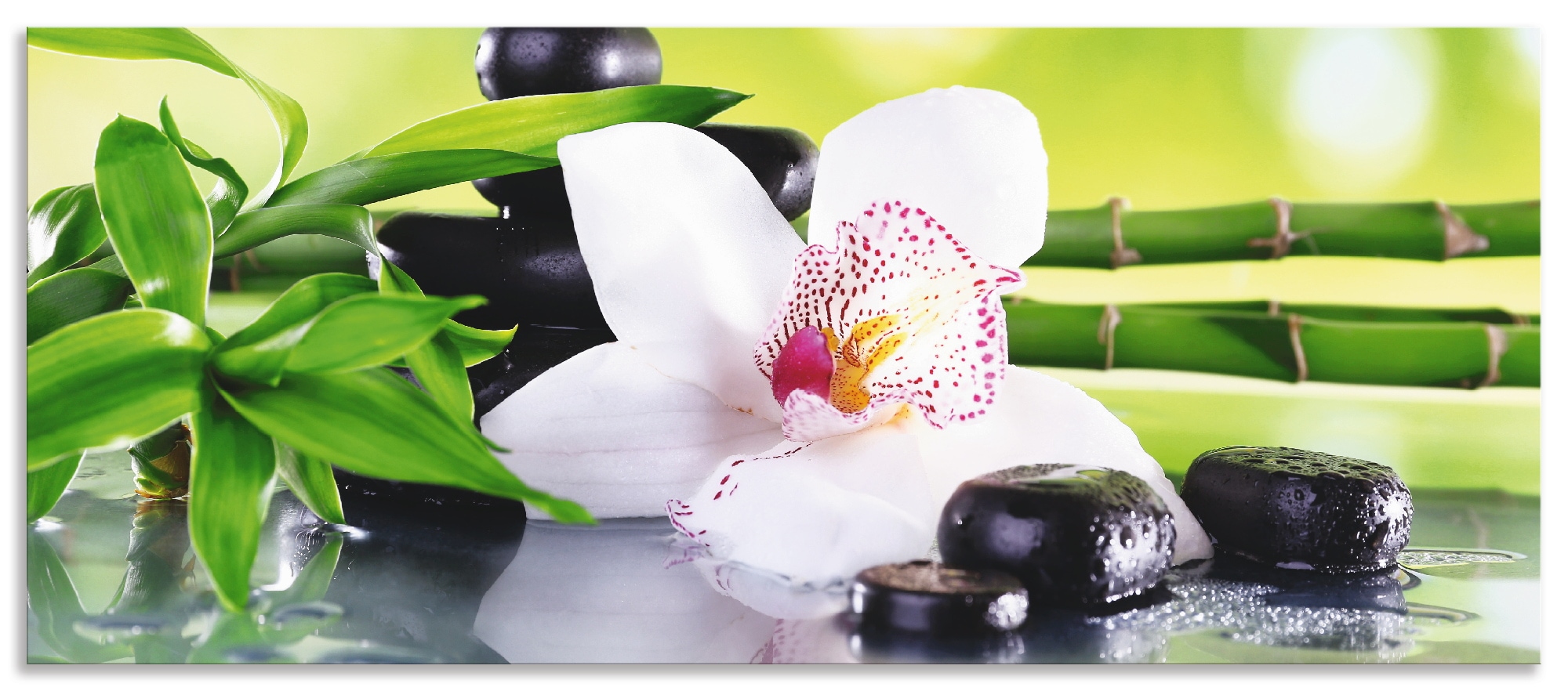 Artland Küchenrückwand »Spa Steine Bambus Zweige Orchidee«, (1 tlg.), Alu S günstig online kaufen
