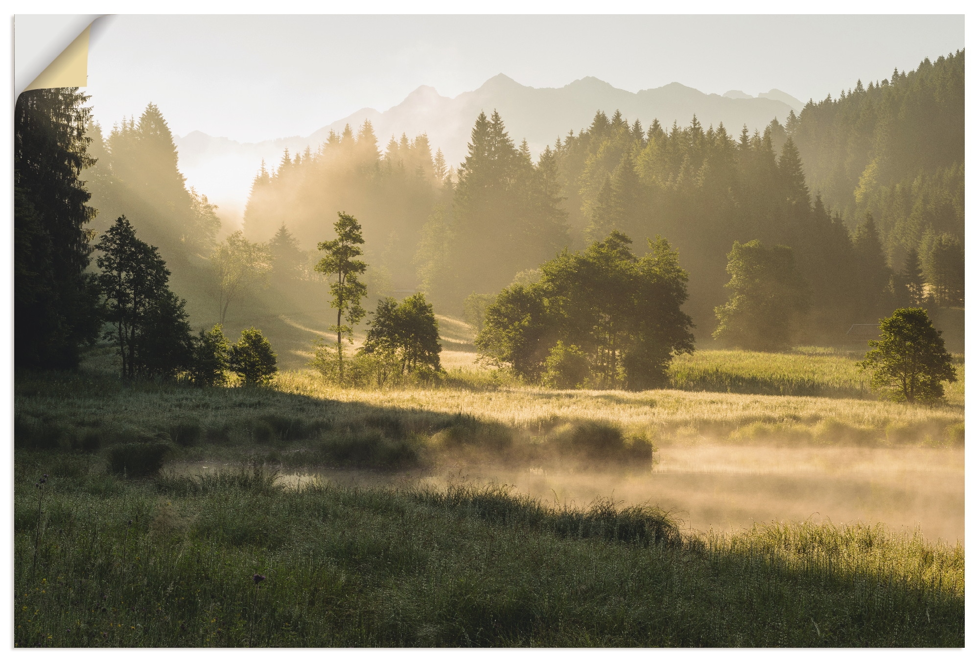 Artland Wandbild »Sommermorgen in den Alpen«, Wiesen & Bäume, (1 St.), als günstig online kaufen