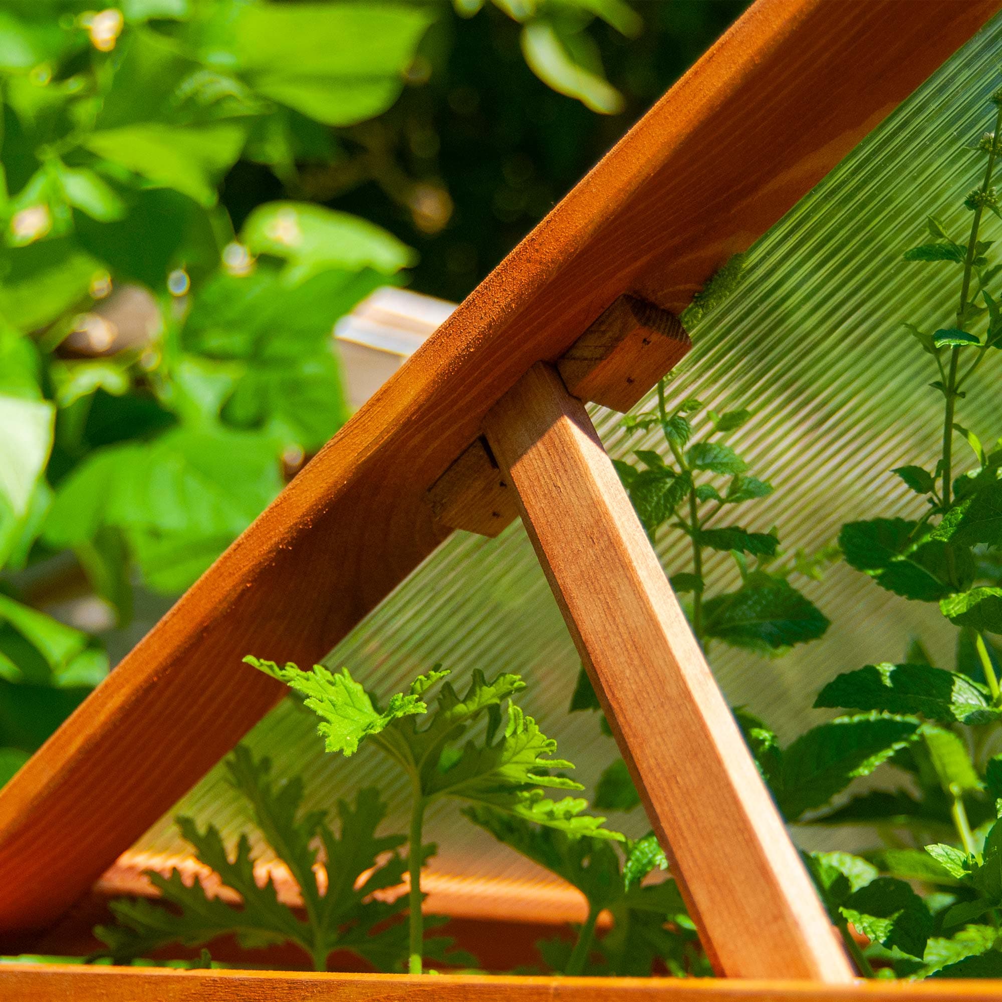 dobar Frühbeetaufsatz »Kubus 2.0, hellbraun« aus FSC®-zertifiziertem Kiefernholz und bruchfestem Polycarbonat