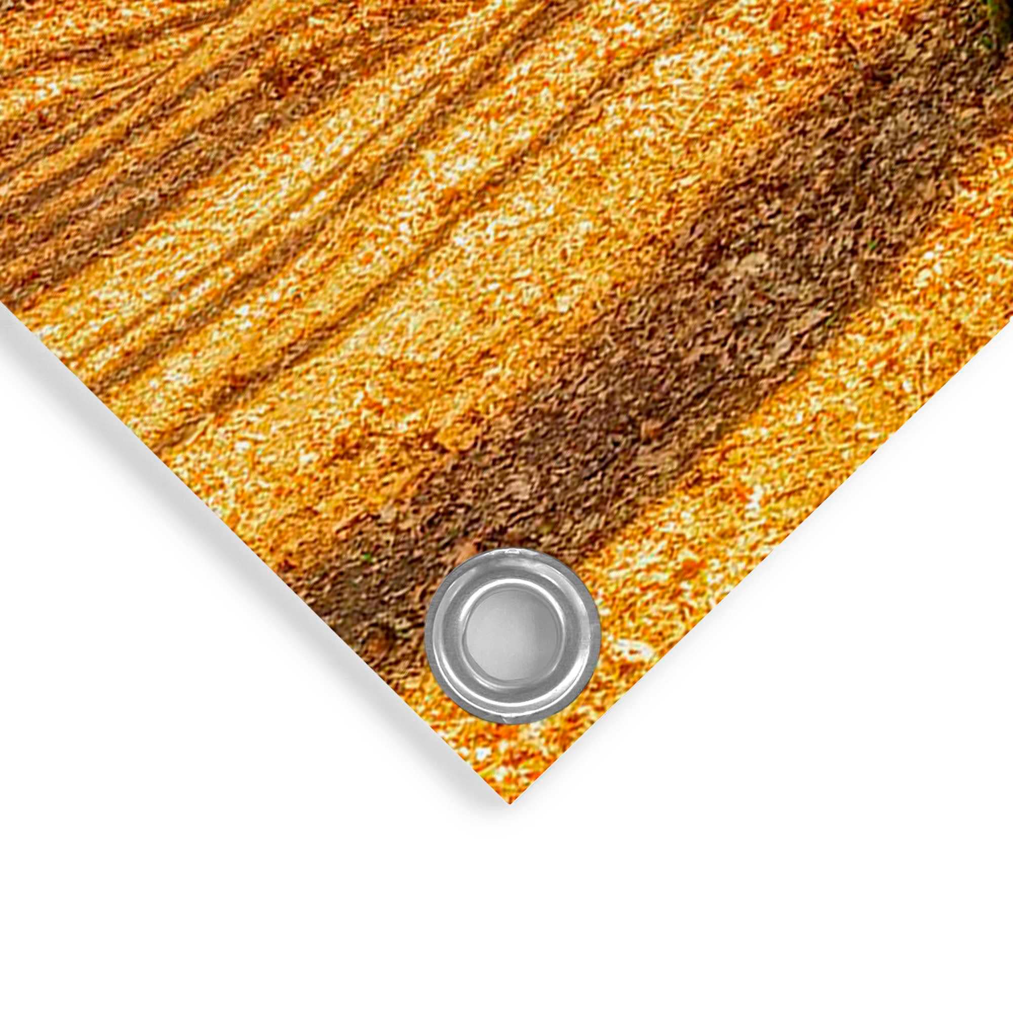 Reinders! Poster »Sonniger Wald«