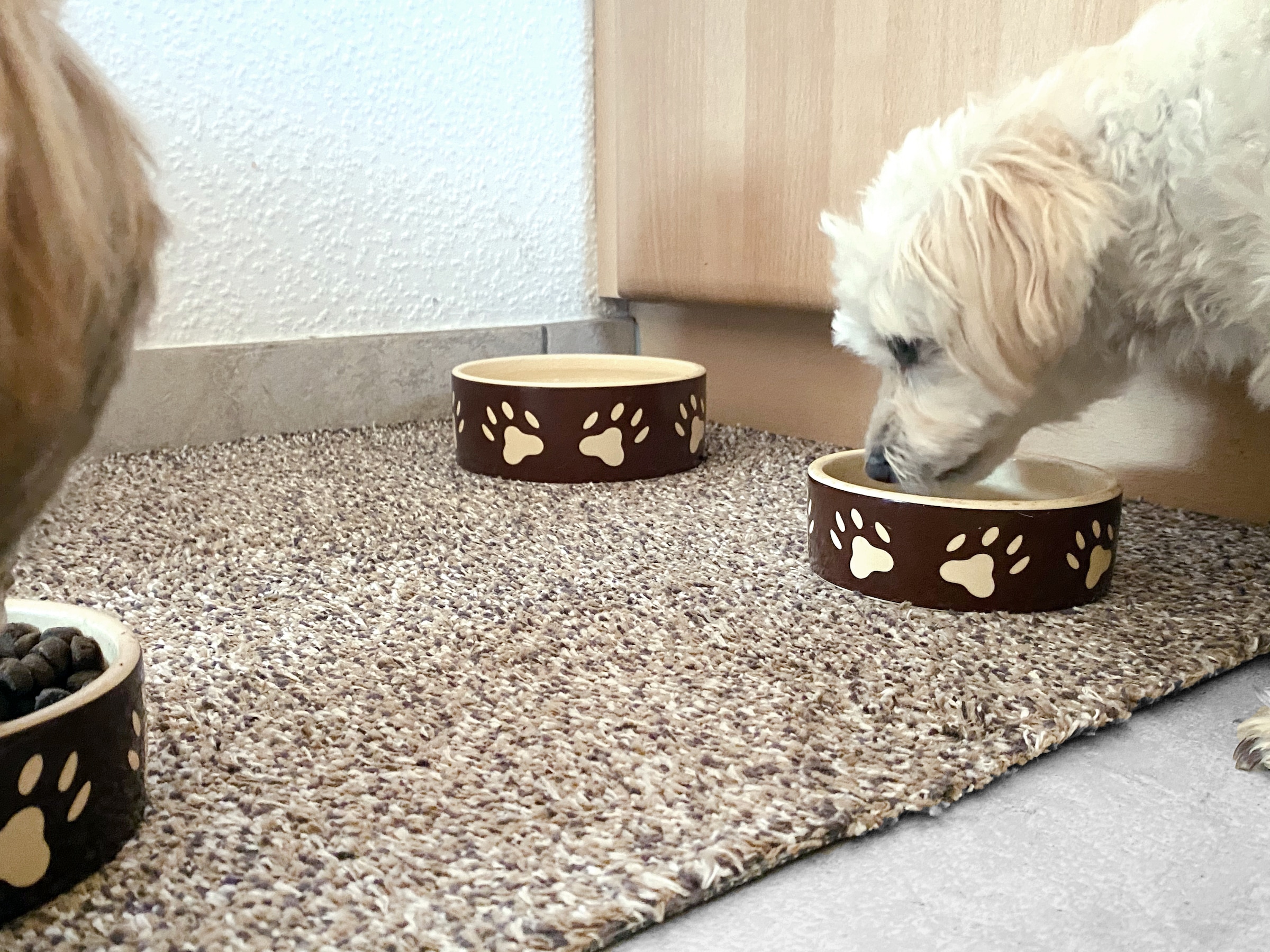 ASTRA Fußmatte »Saugstark 601« rechteckig 9 mm Höhe Schmutzfangmatte, In -und Outdoor geeignet