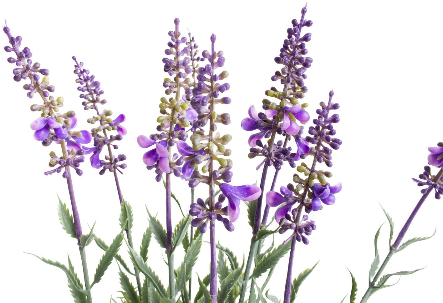 Botanic-Haus Künstliche Zimmerpflanze »Lavendel - Kräutertopf«