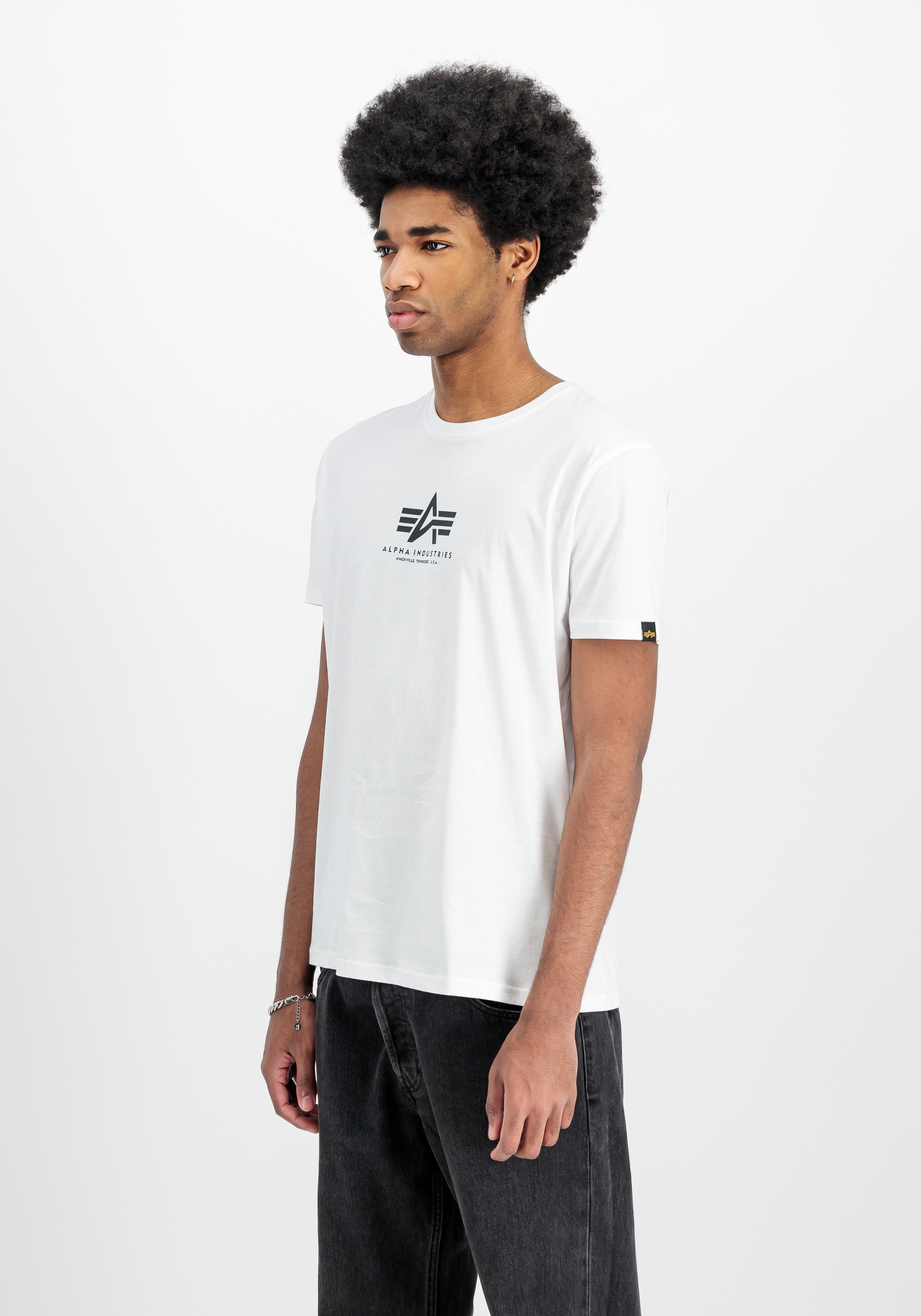 Alpha Industries T-Shirt »Alpha Industries Men - T-Shirts Basic T Mid Logo«