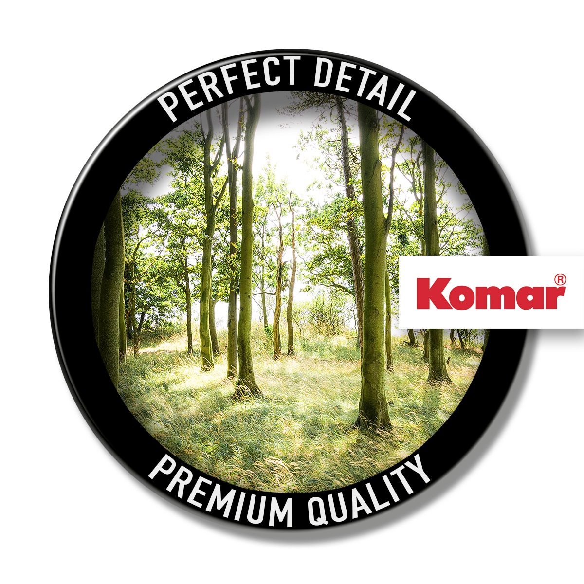 Komar Leinwandbild »Dänische Buchen - Größe 90 x 60 cm«, Baum-Blätter-Natur-Berge-Blumen-Foto-Jahreszeiten-Landschaft-Meer-Strand-Palmen, (Packung, 1 St.), Keilrahmenbild mi Echtholzrahmen