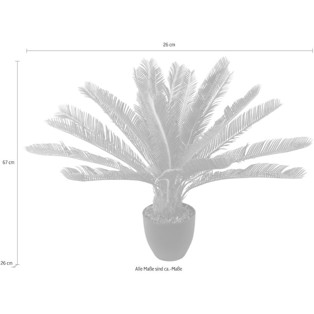 I.GE.A. Kunstpflanze »Cycaspalme im Topf«