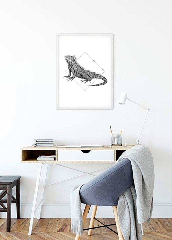 Komar Bild »Iguana White«, Tiere, (1 St.), Wandbild zur Dekoration - ohne Rahmen