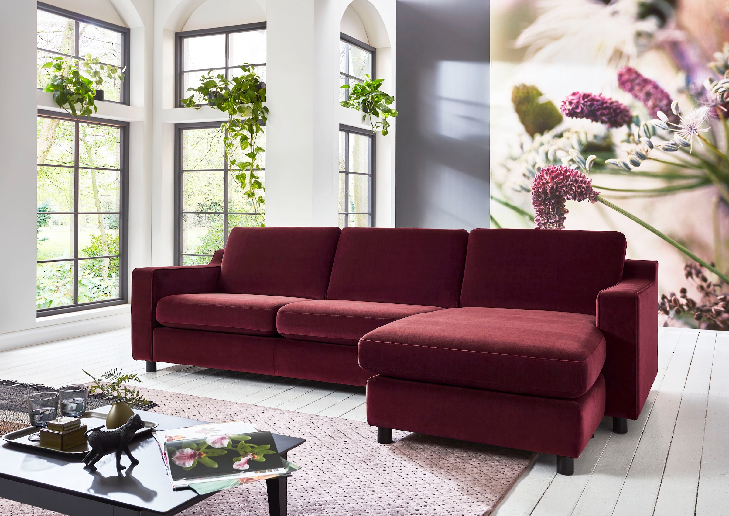 ATLANTIC home collection Ecksofa »Luka L-Form« pflegeleichter Samtvelours günstig online kaufen