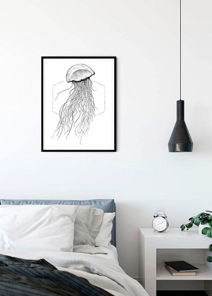 Komar Bild »Jellyfish White«, Tiere, (1 St.), Wandbild zur Dekoration - ohne Rahmen