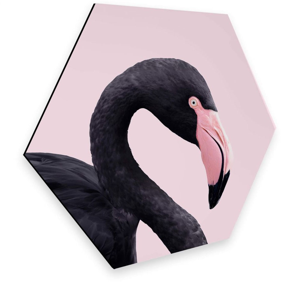 Wall-Art Metallbild »Rosa Flamingo Pink Black Hexagon«, (1 St.), vintage Metallschild