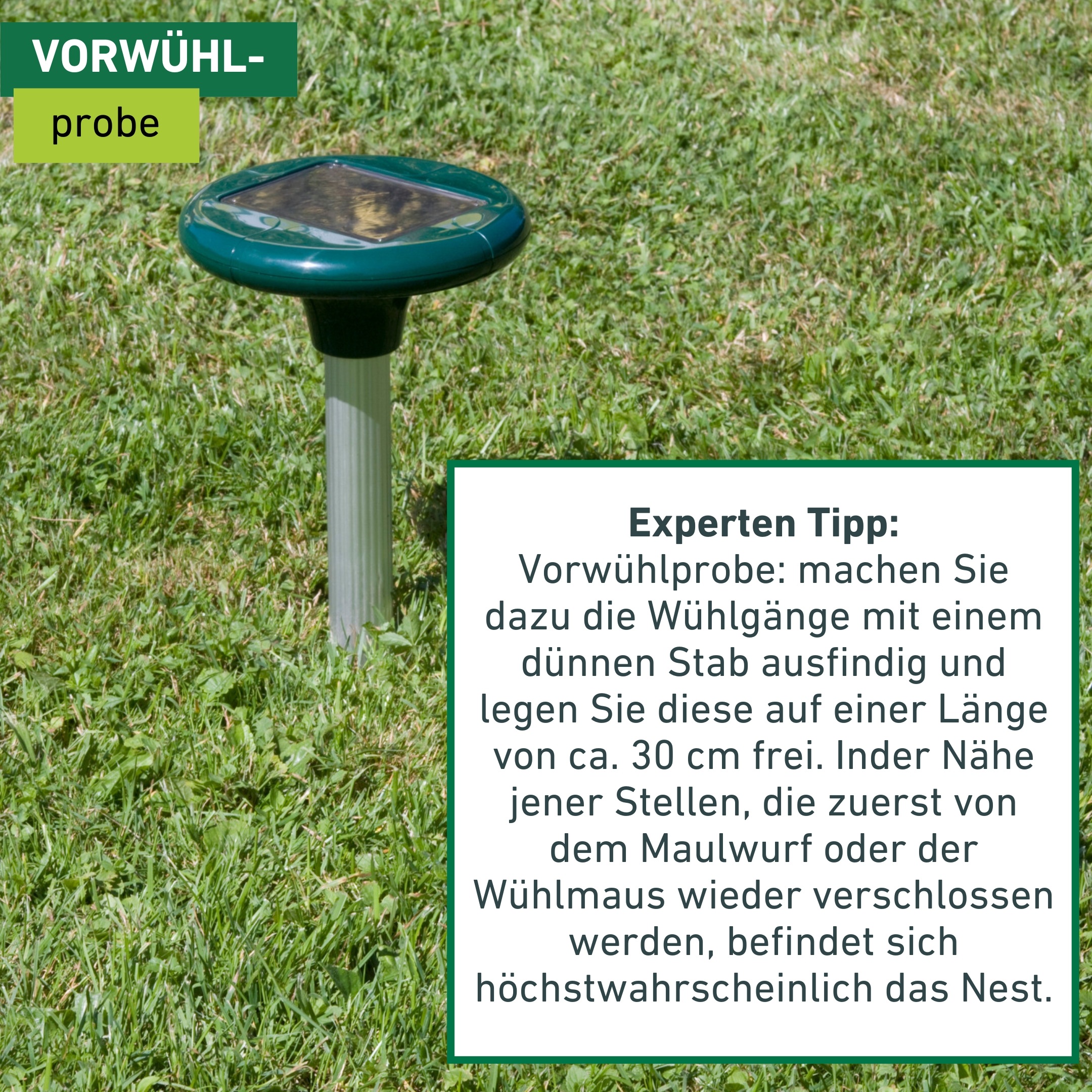 Windhager Ultraschall-Tierabwehr »Maulfwurfschreck und Wühlmausvertreiber Solar« Wirkungsbereich 800 m² mit niederfrequenten Schallwellen, grün