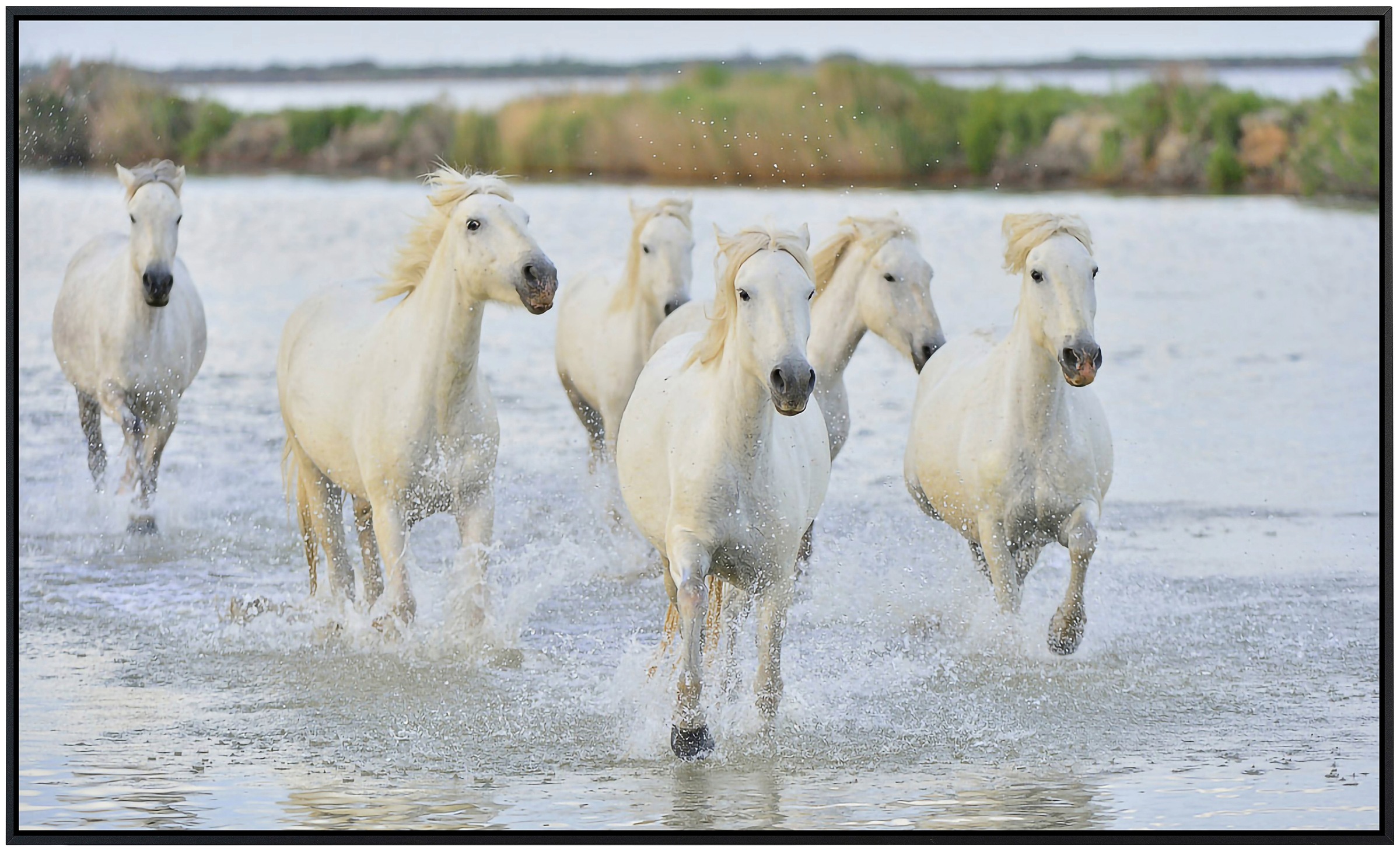 Papermoon Infrarotheizung »Pferde im Wasser«, sehr angenehme Strahlungswärm günstig online kaufen