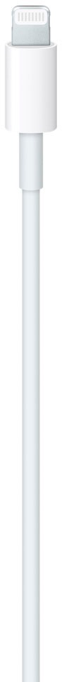 Apple Smartphone-Kabel »USB-C auf Lightning Kabel«, Lightning, 100 cm