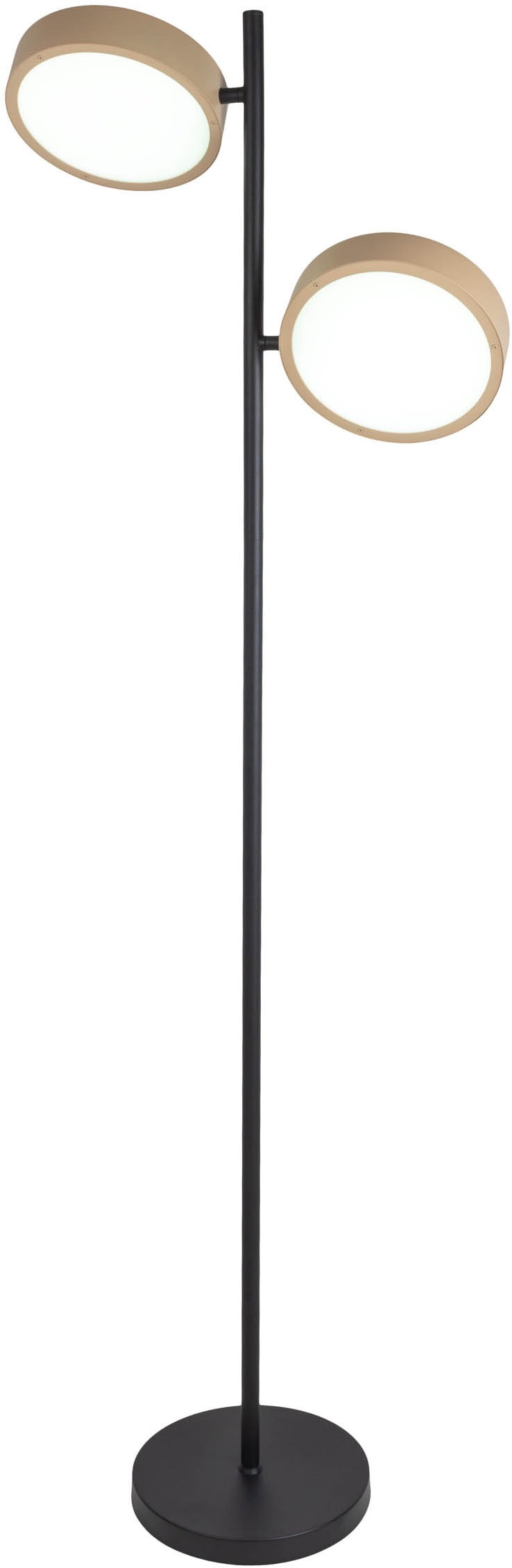 näve LED Stehlampe »Tessa«, 2 flammig, Leuchtmittel LED-Modul | LED wechselbar, stufenlos dimmbar per Tastschalter, CCT-Funktion, Zuleitung ca. 180cm