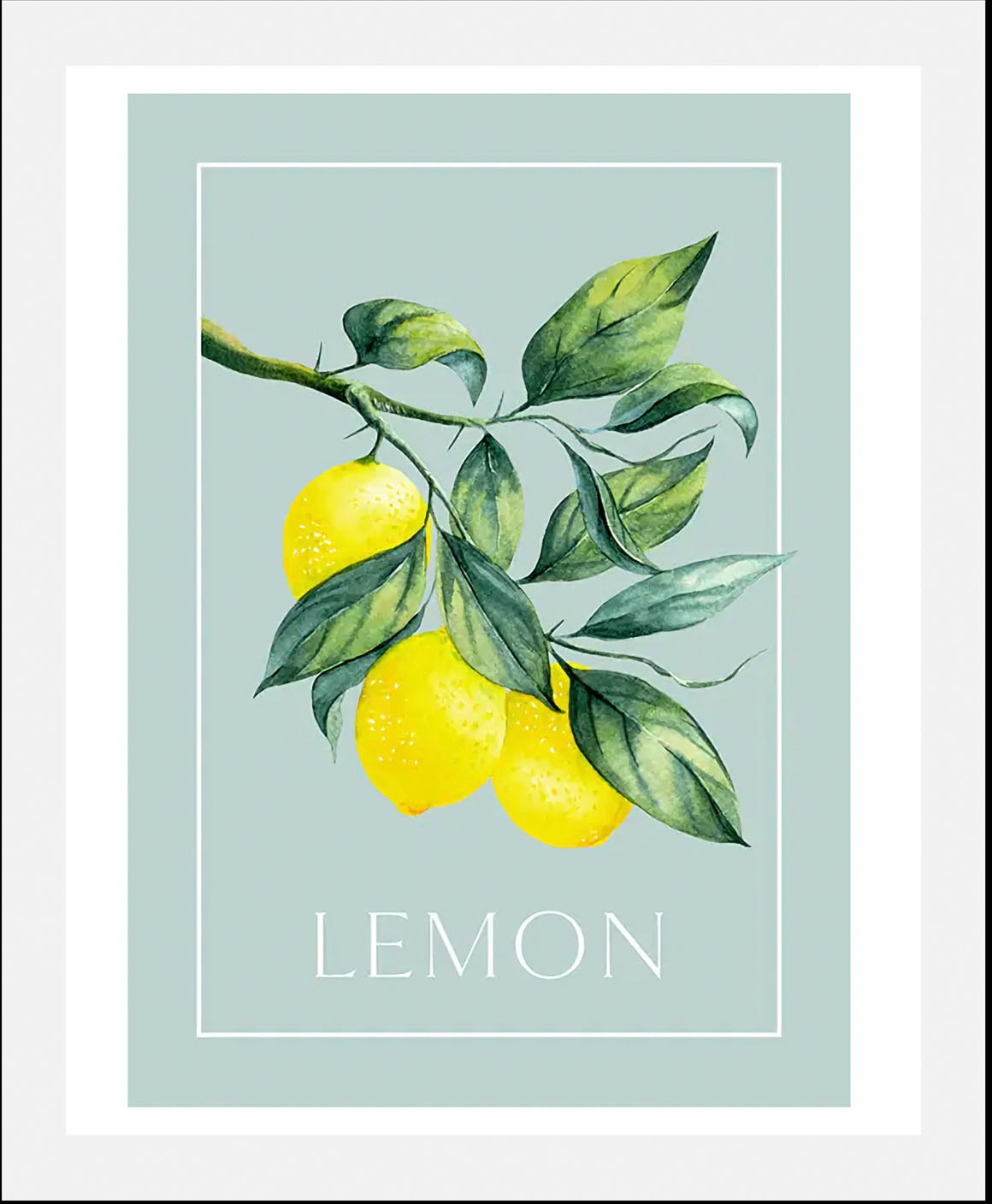 queence Bild »Lemon«, Obst-Obst Bilder-Schriftzug-Figuren-Abstrakt, (1 St.) günstig online kaufen