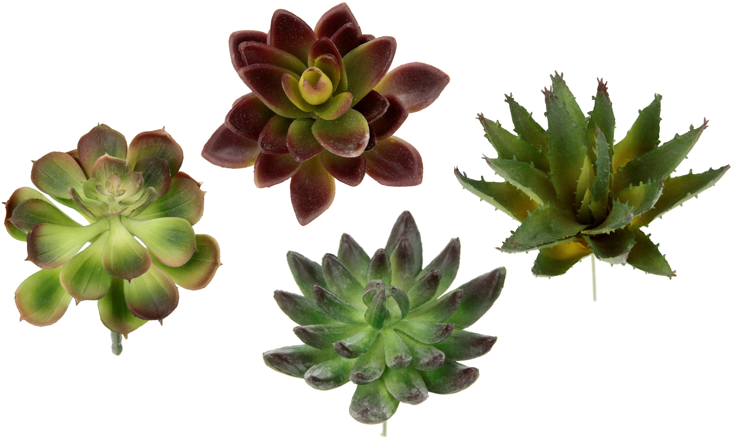 I.GE.A. Kunstpflanze »Dekorative Sukkulenten«, künstliche Rechnung kaufen Kaktus auf Aloe, Set, Sukkulenten, Agave, 4er Pflanzen