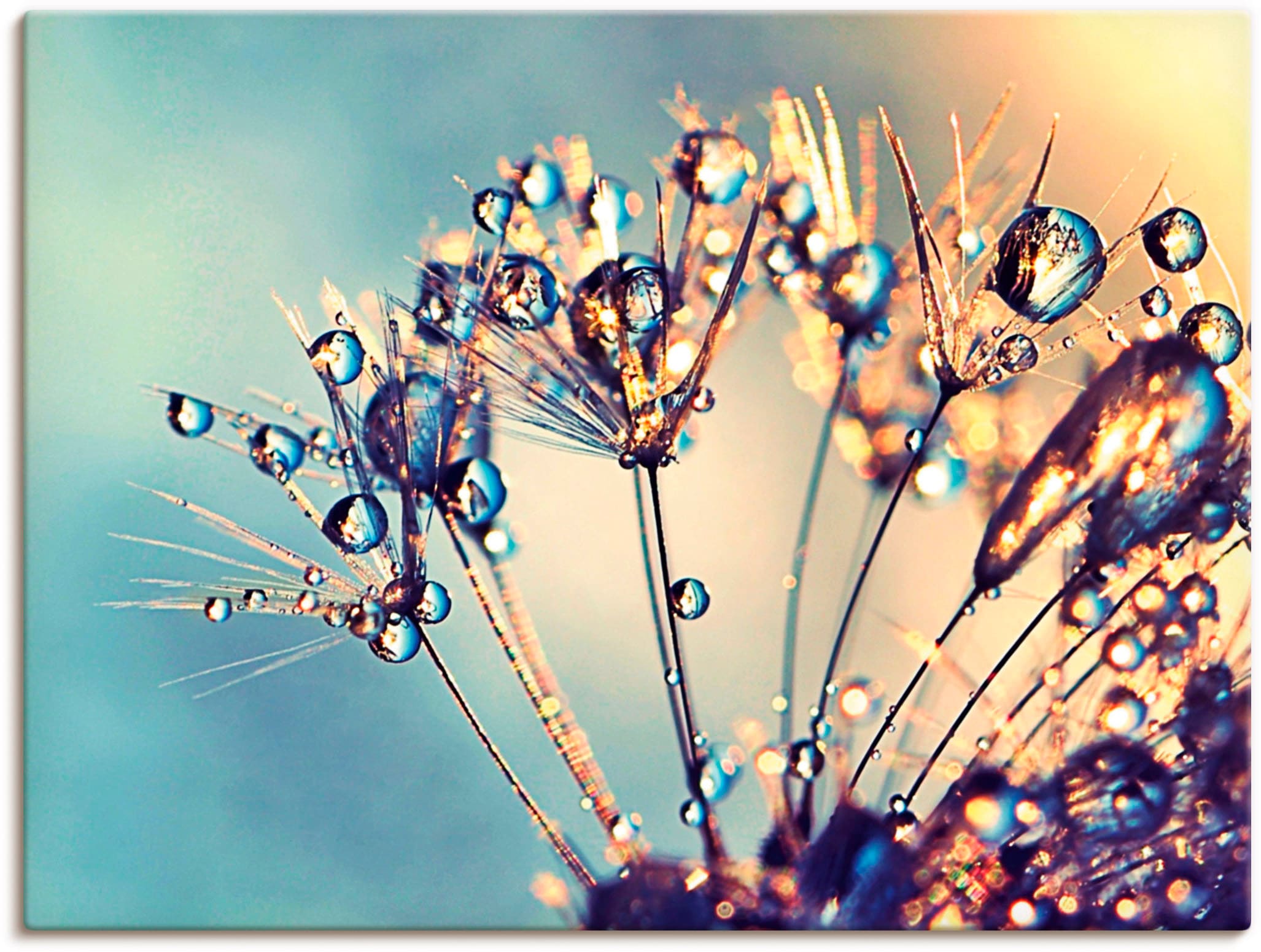 Artland Wandbild »Pusteblume Glitzertau«, Blumen, (1 St.), als Leinwandbild, Poster in verschied. Größen