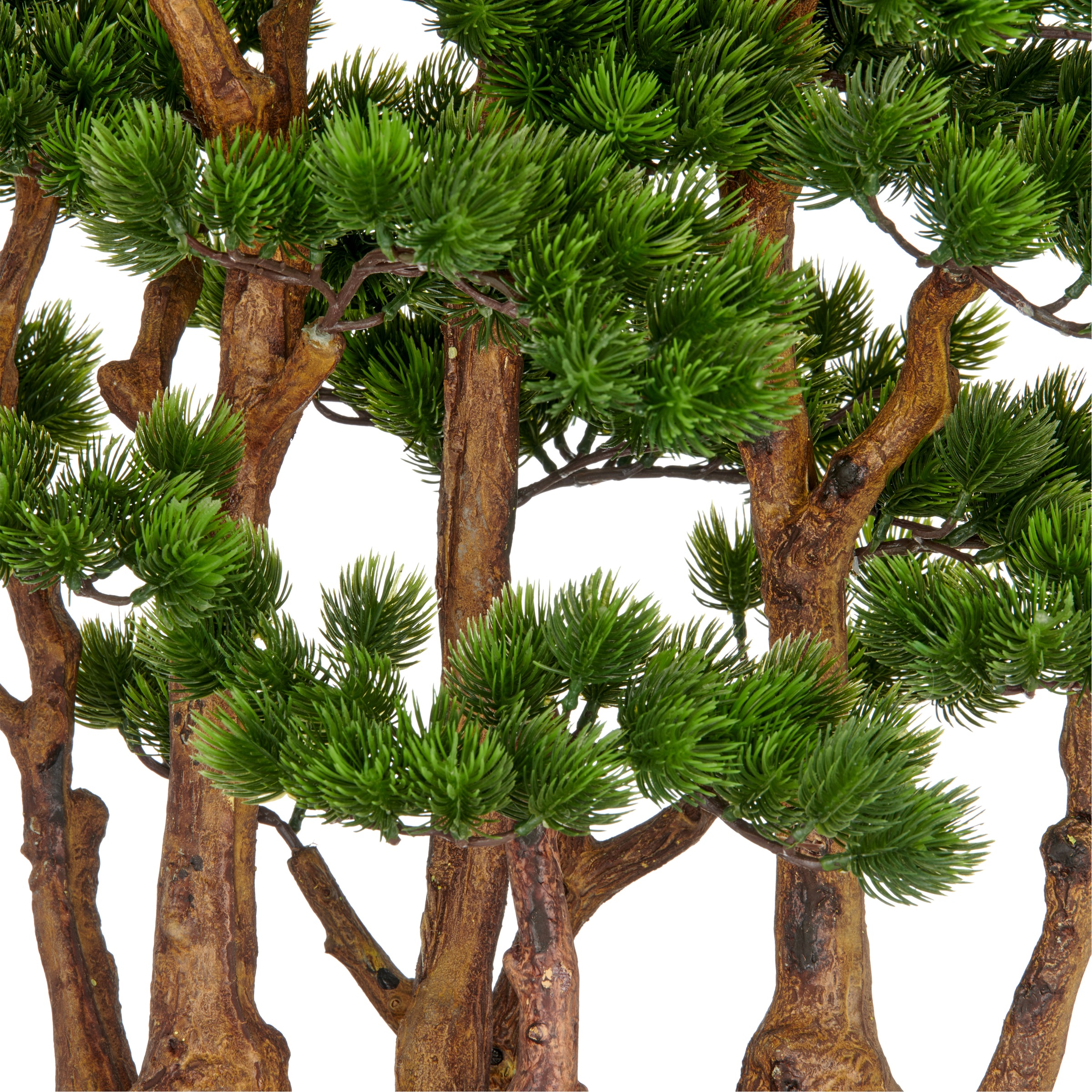 Creativ green Kunstbonsai »Bonsai Kiefer«, mit detailgetreuer Gestaltung günstig online kaufen