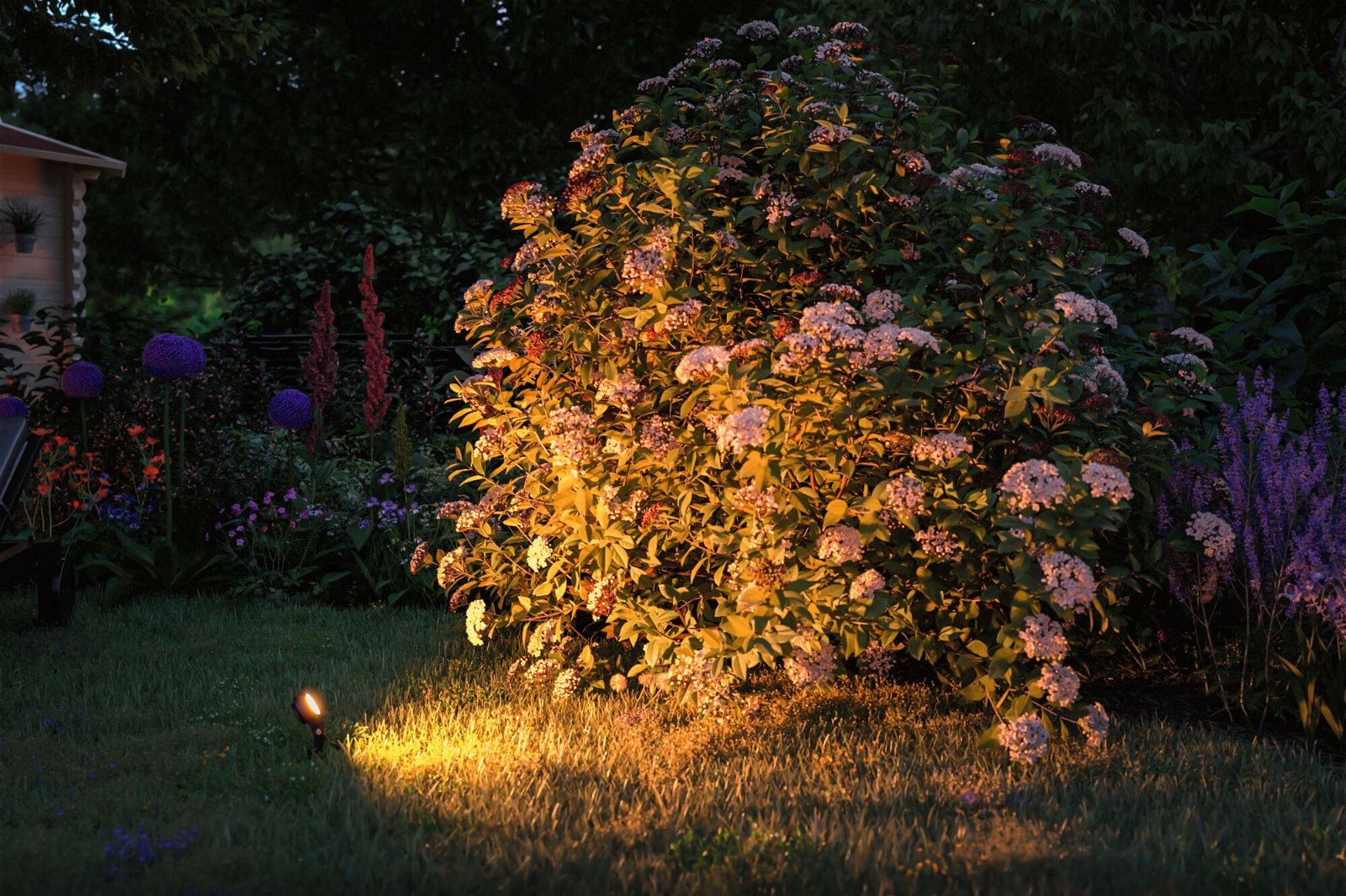 Paulmann LED Gartenstrahler »Plug & Shine Sting IP67 2200K 3x6,3W 75VA Anth günstig online kaufen
