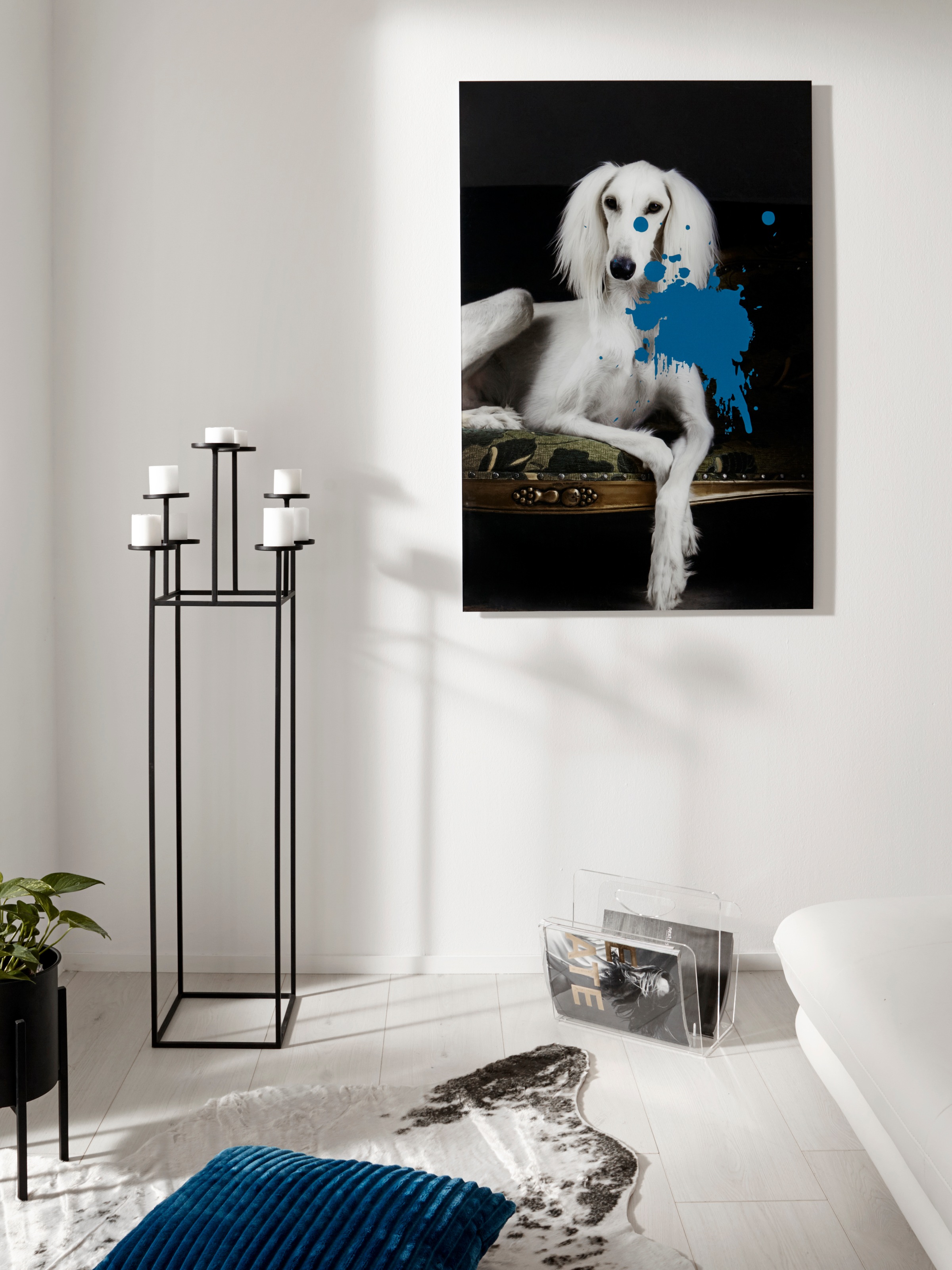 queence Acrylglasbild »Hund mit Farbklecks« Formen   Gemälde   Haustiere günstig online kaufen