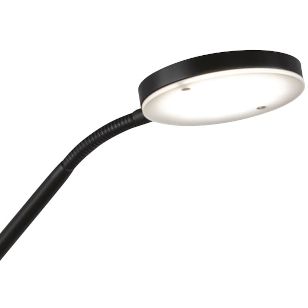 FHL easy! LED Stehlampe »Fabi«, 2 flammig-flammig, Dimmbar, CCT Steuerung