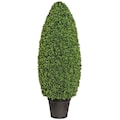 Creativ green Kunstpflanze »Buchsbaumsäule im Formschnitt«, (1 St.), im Kunststofftopf