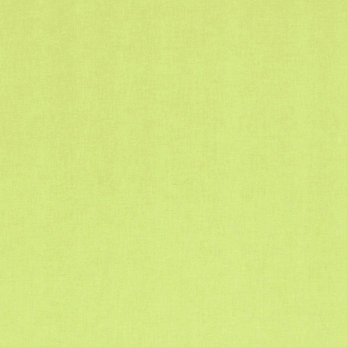 GARDINIA Schiebegardine »Flächenvorhang Stoff Digitaldruck Entry«, (1 St.), ohne Paneelwagen